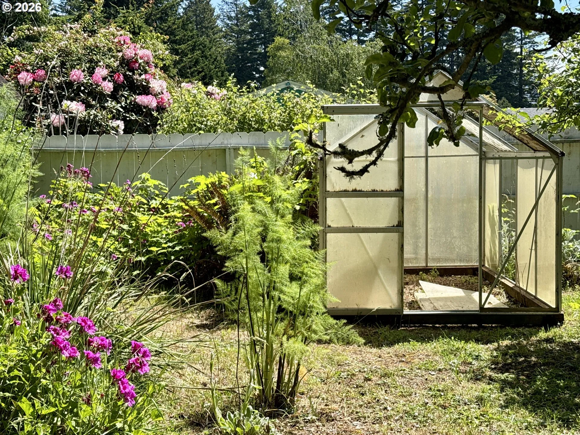 Greenhouse