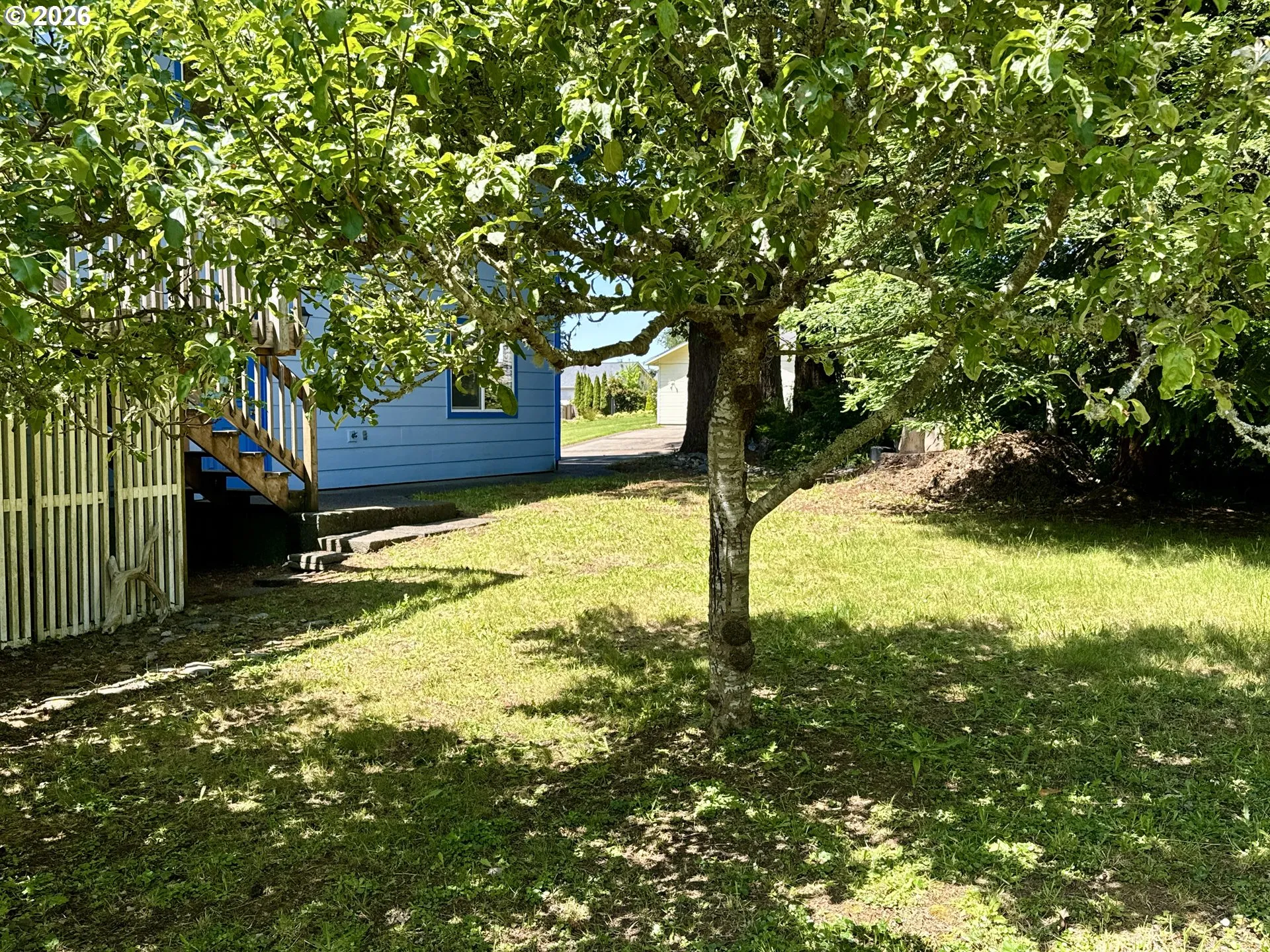 Yard