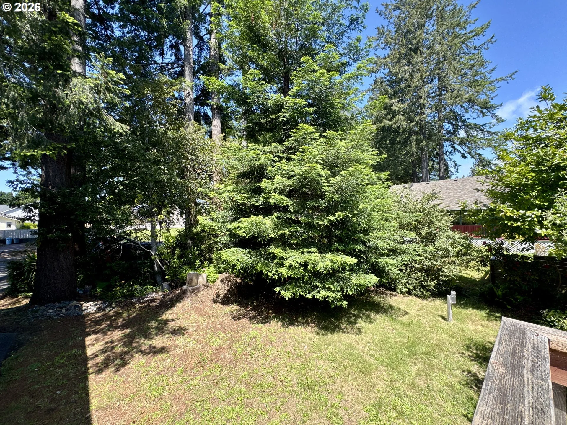 Yard