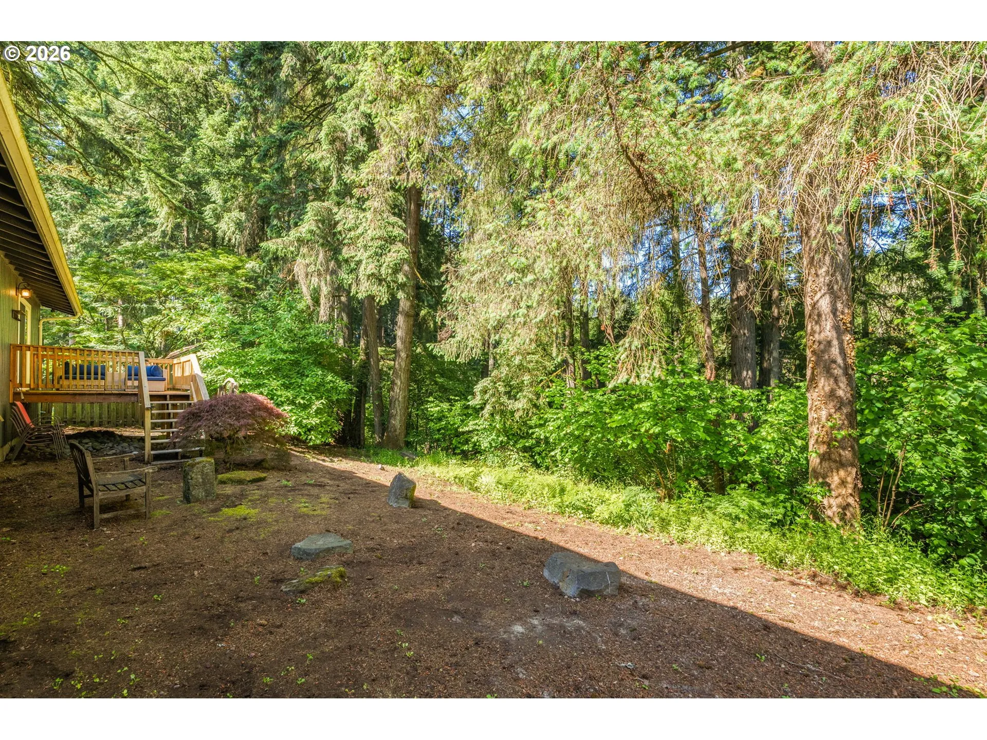Backyard-View From