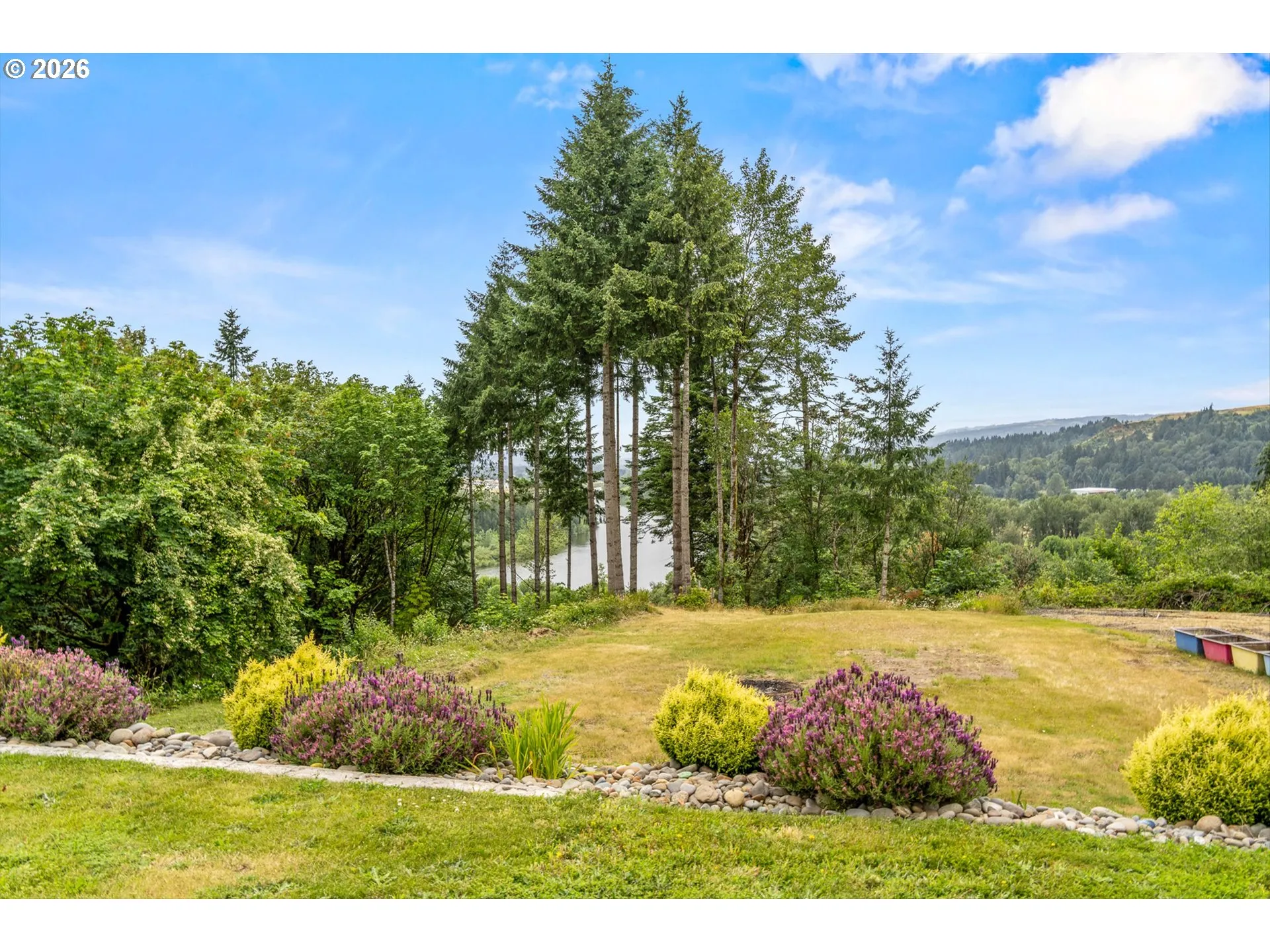 Backyard-View From