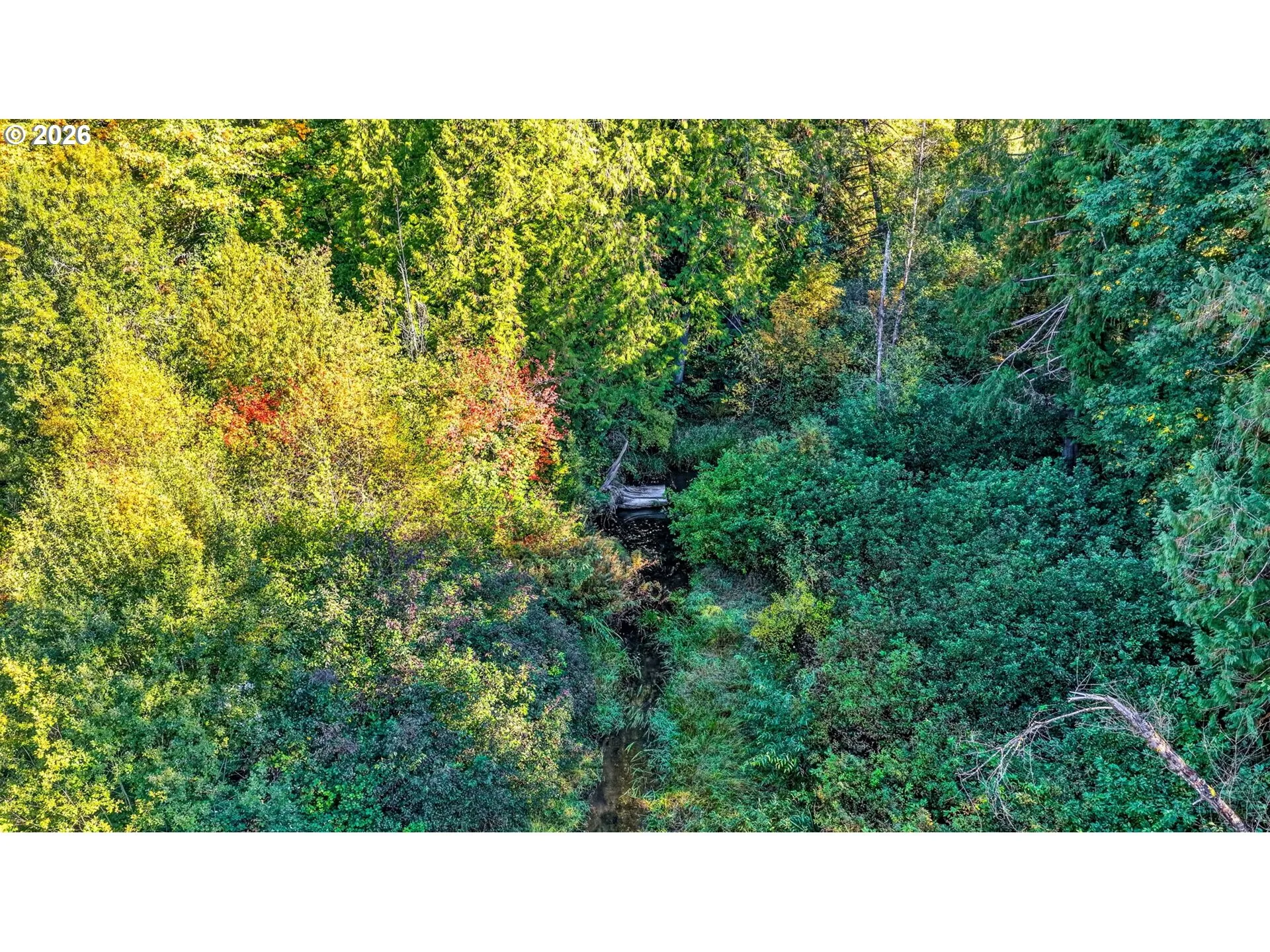 Creek-Year Round