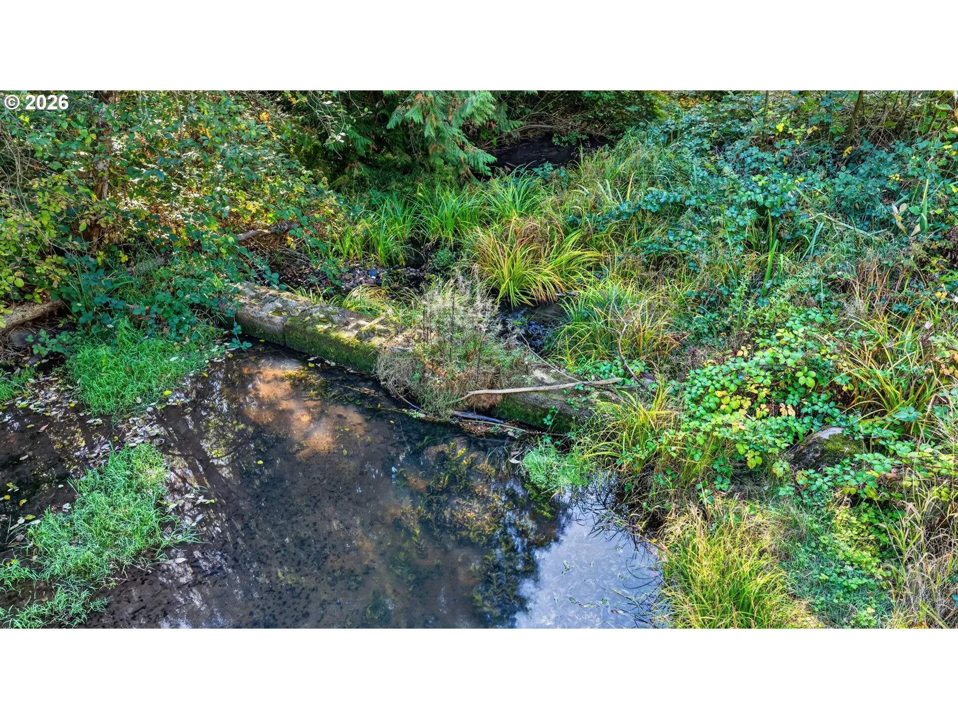 Creek-Year Round