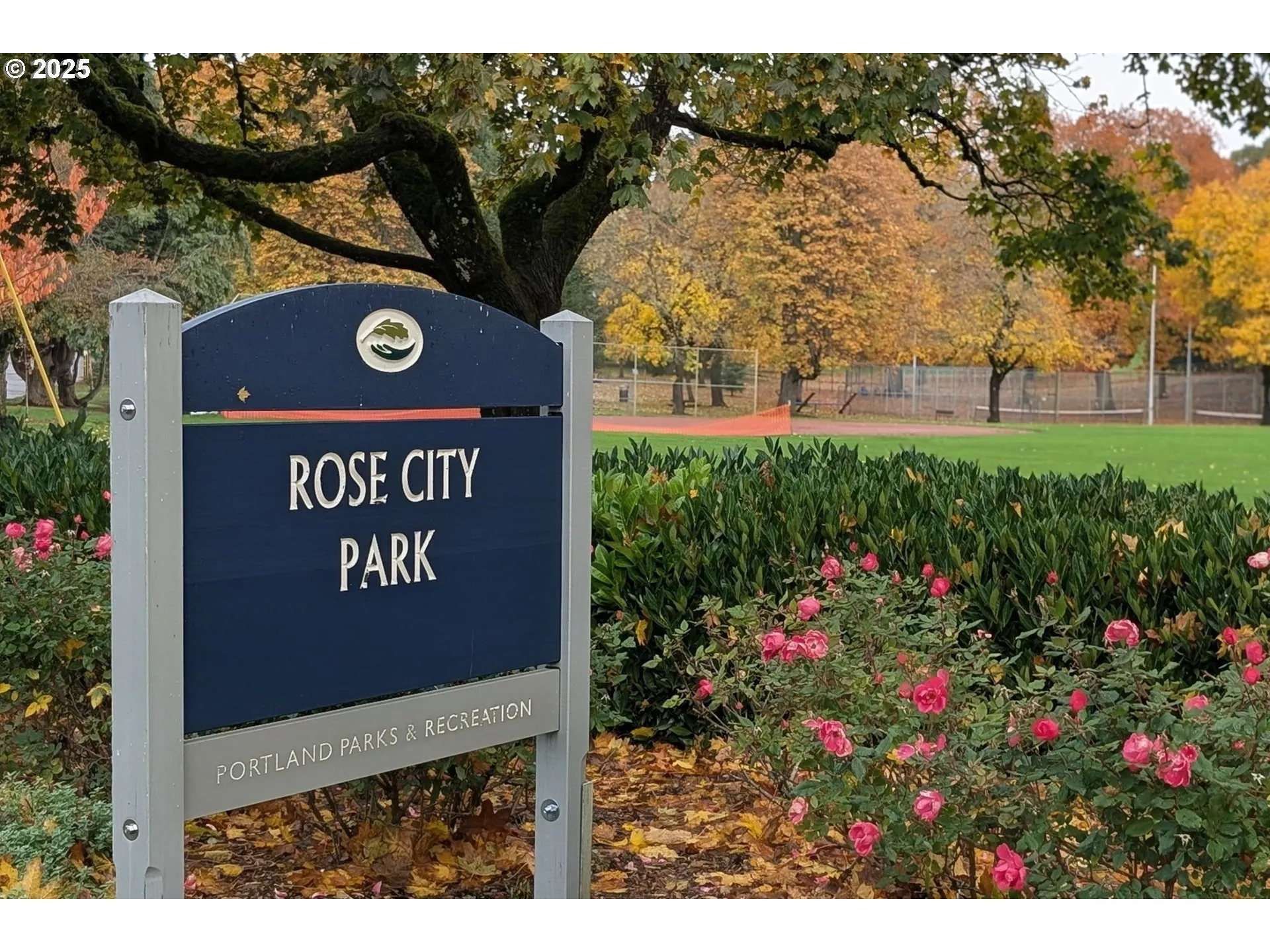 Community Park