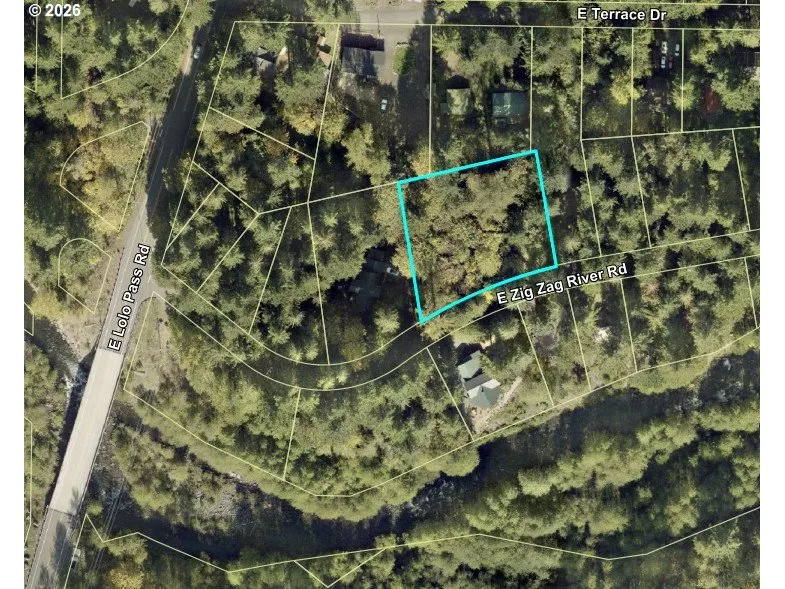 Approximate Property Lines-Wooded / Acreage