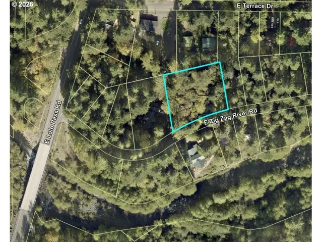 Approximate Property Lines-Wooded / Acreage