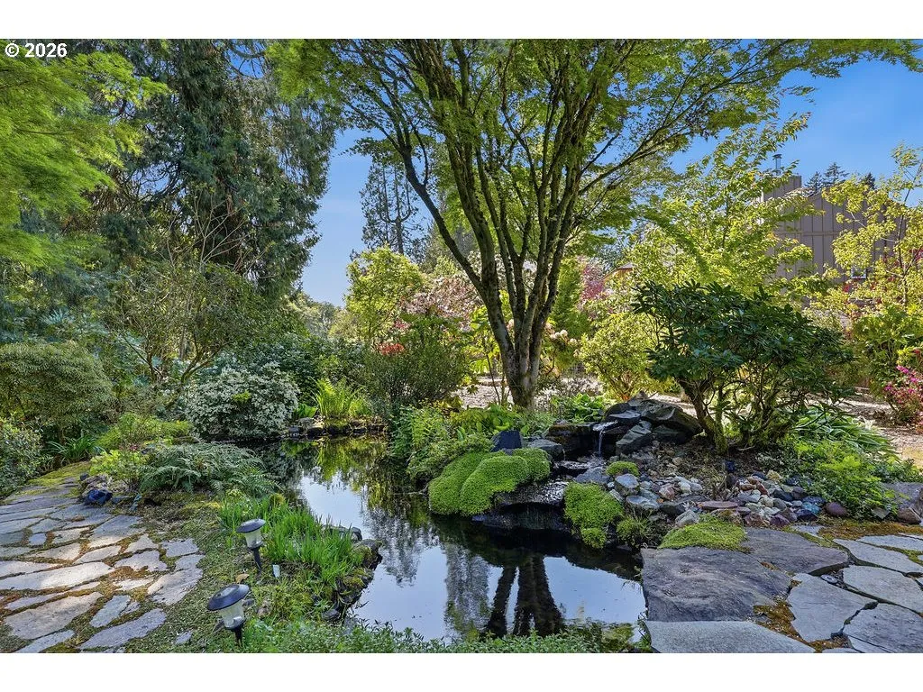 Water Feature