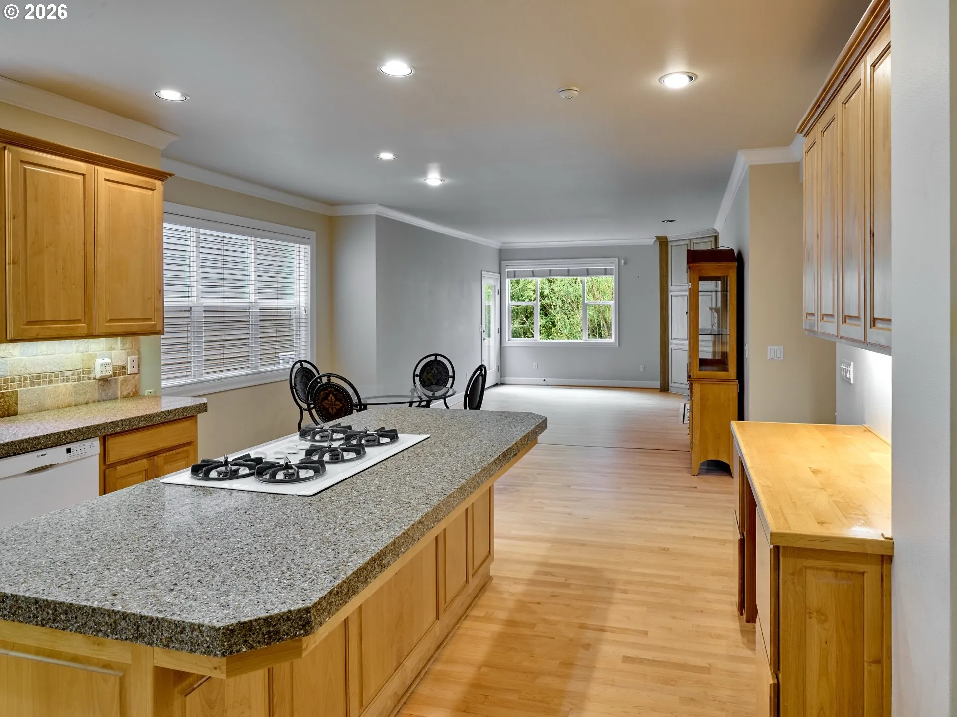 Kitchen/Family Room