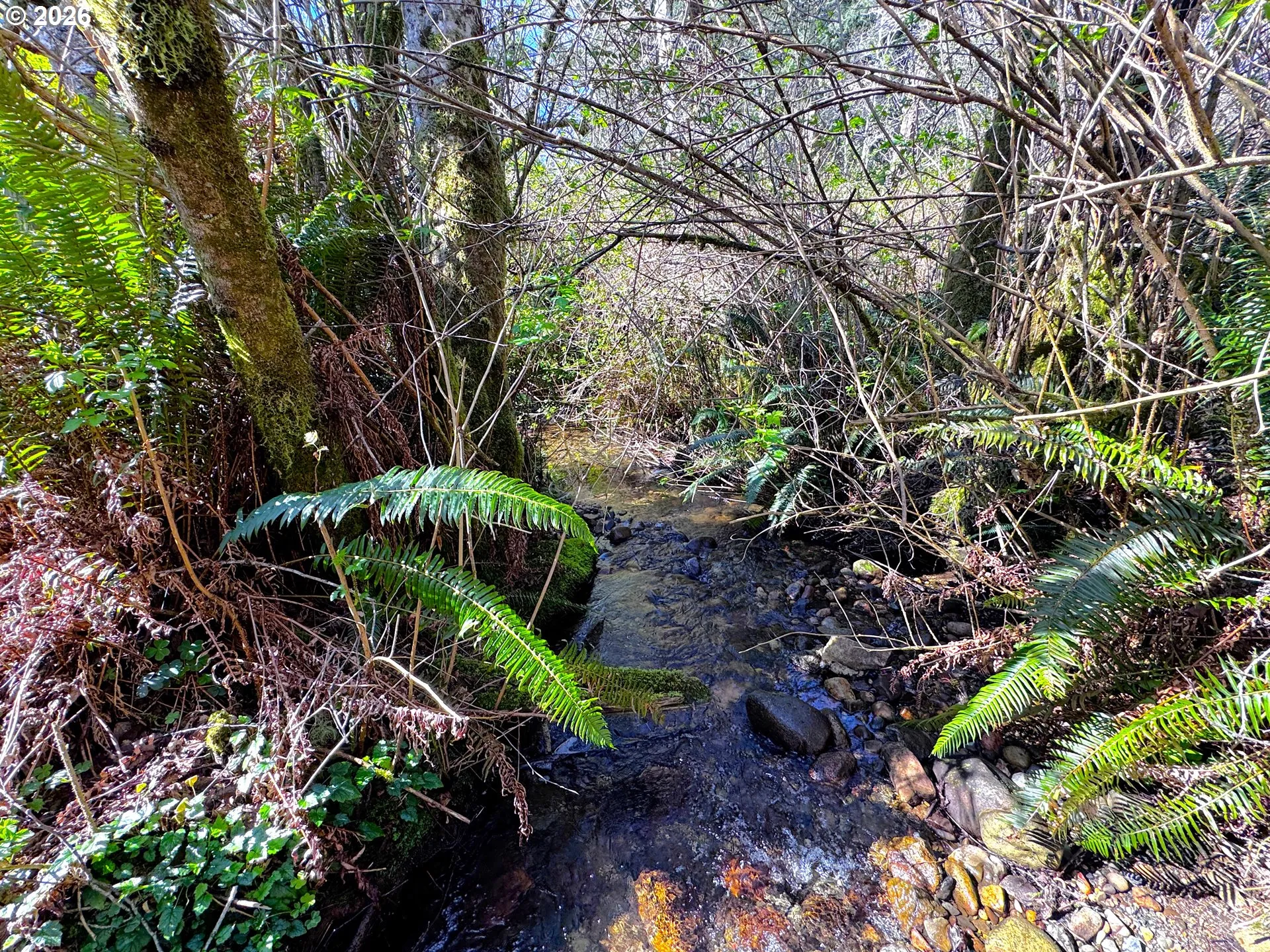 Creek-Year Round