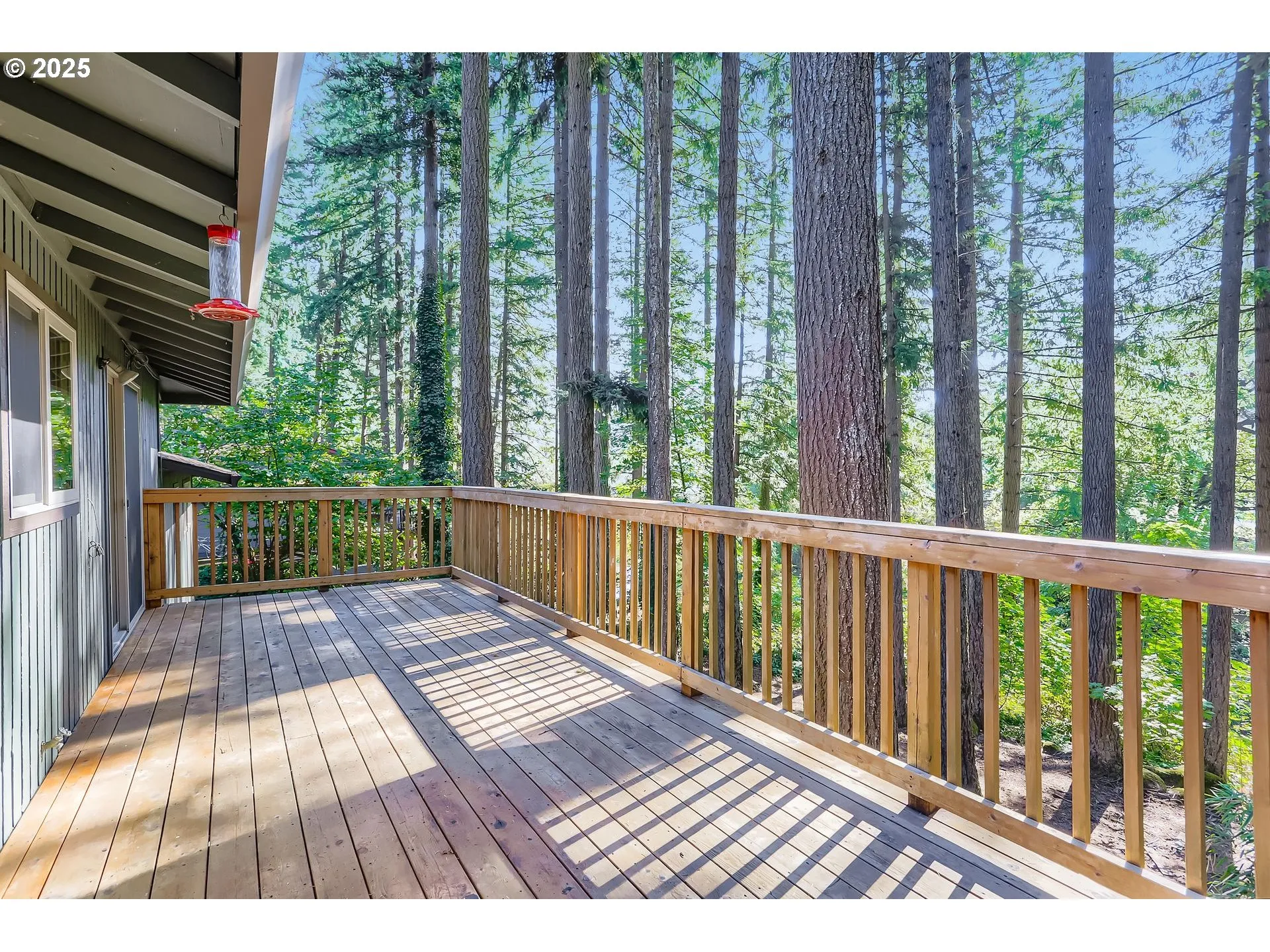 Deck-Main