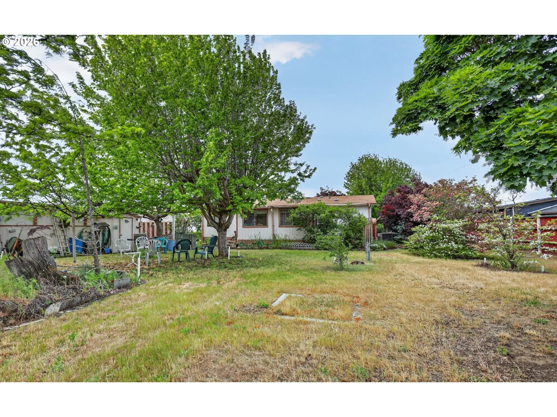 Backyard-Fenced