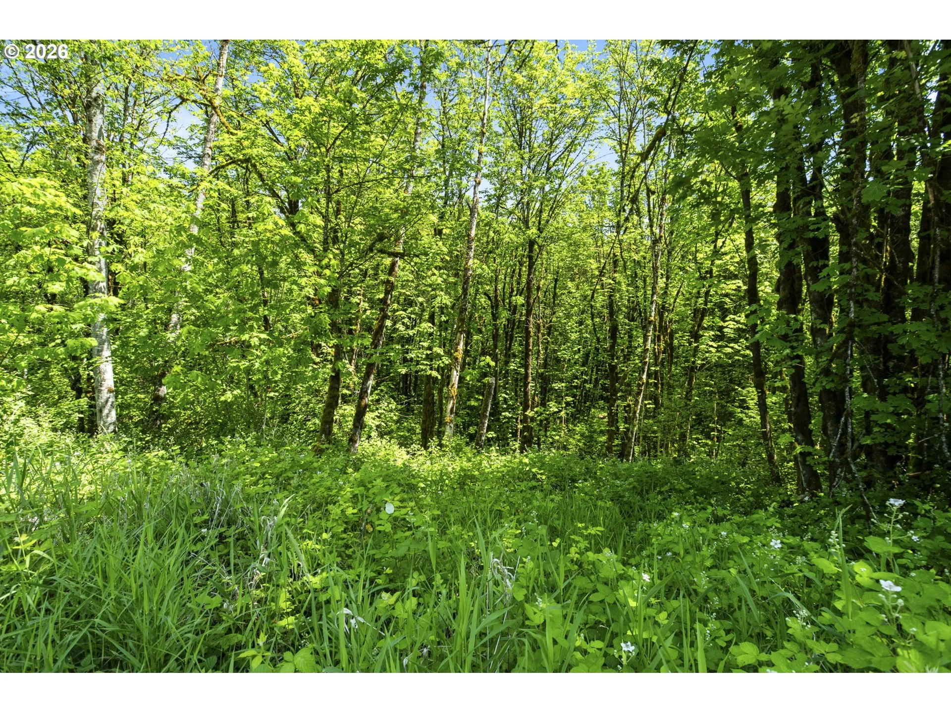 Acreage