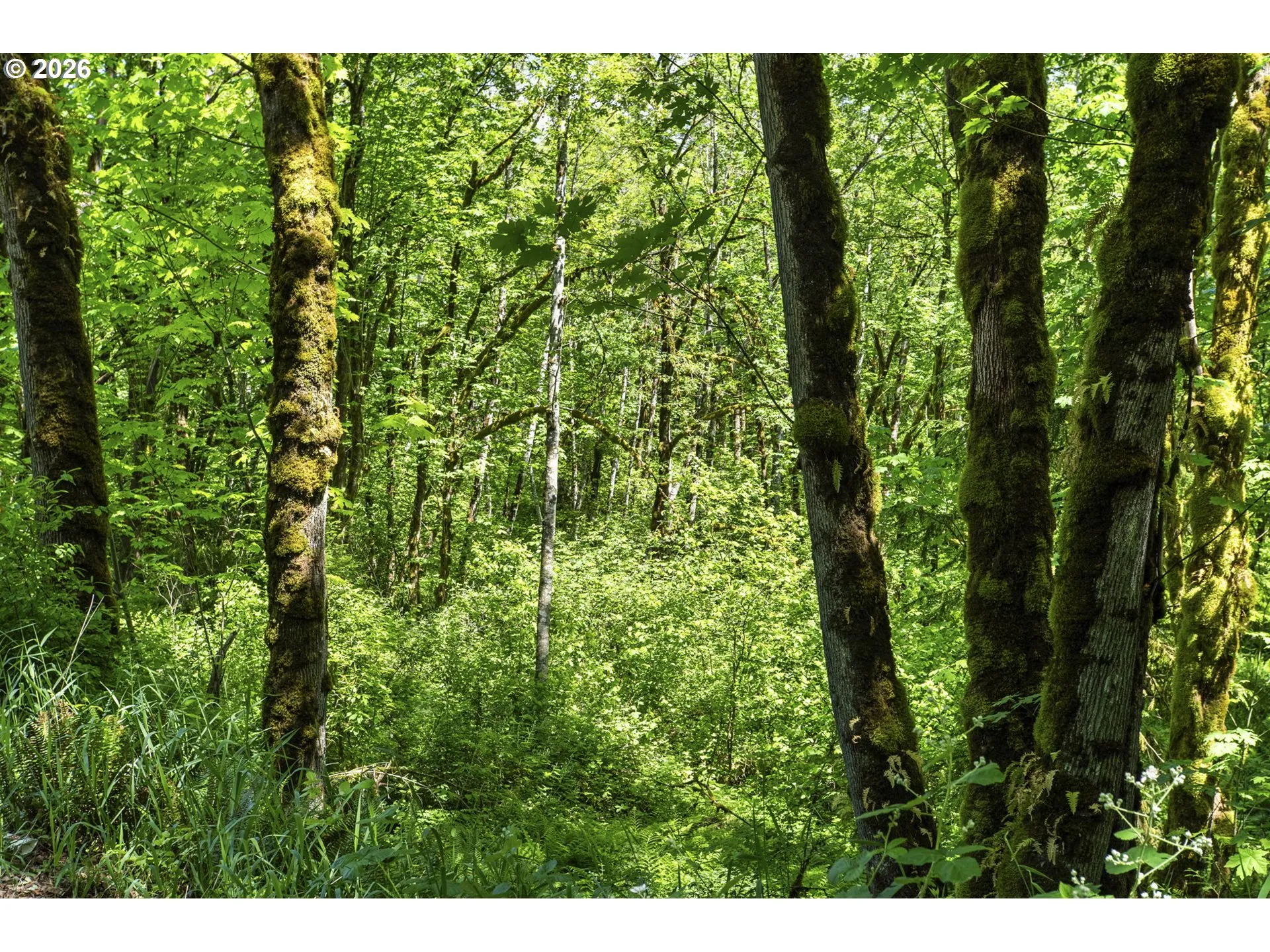 Acreage