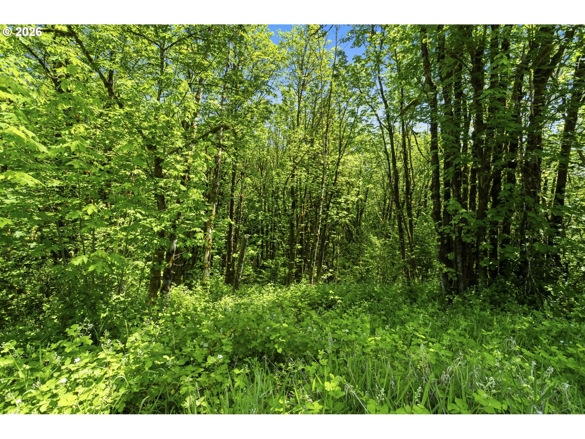 Acreage