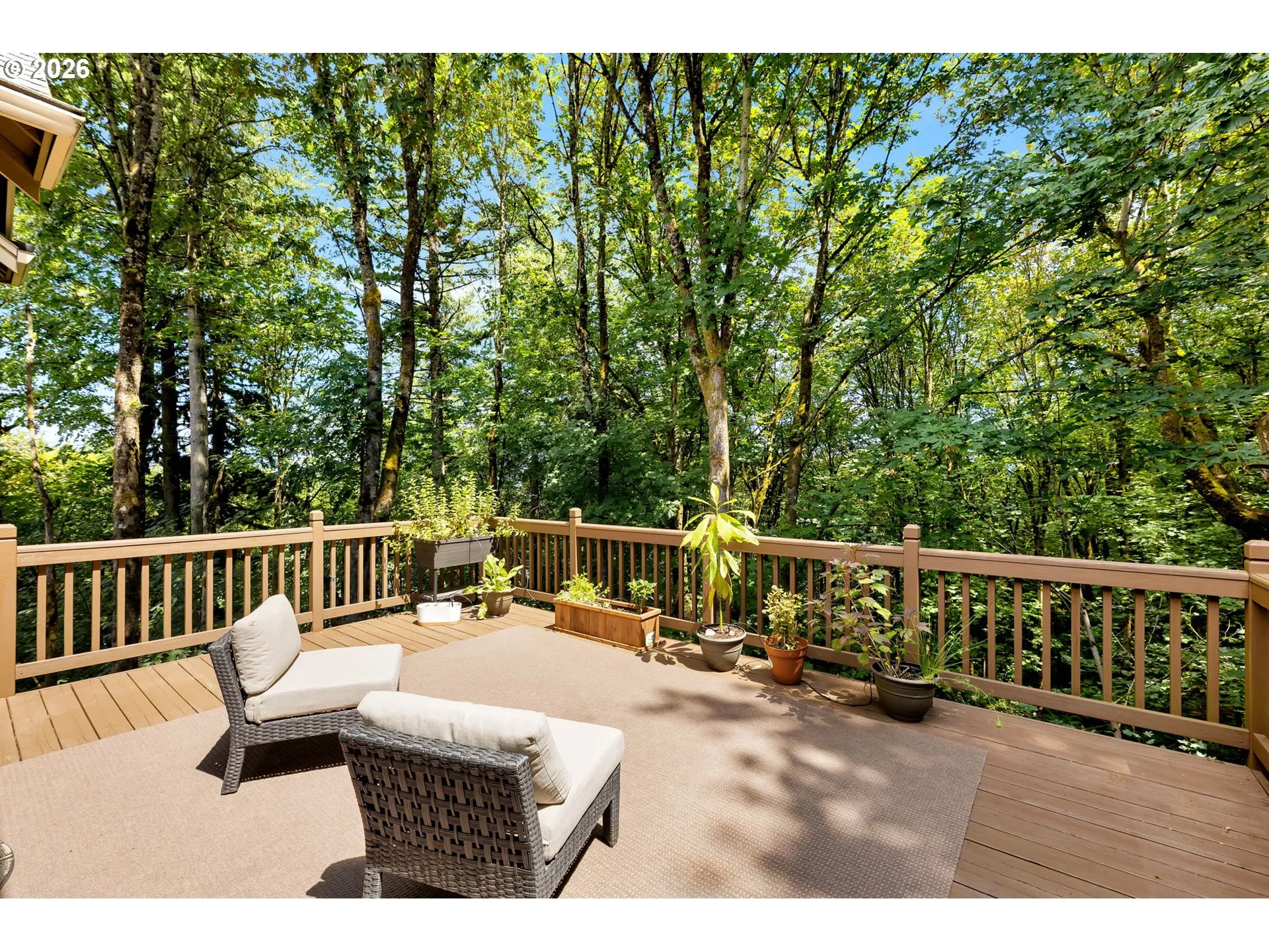 Deck-Main
