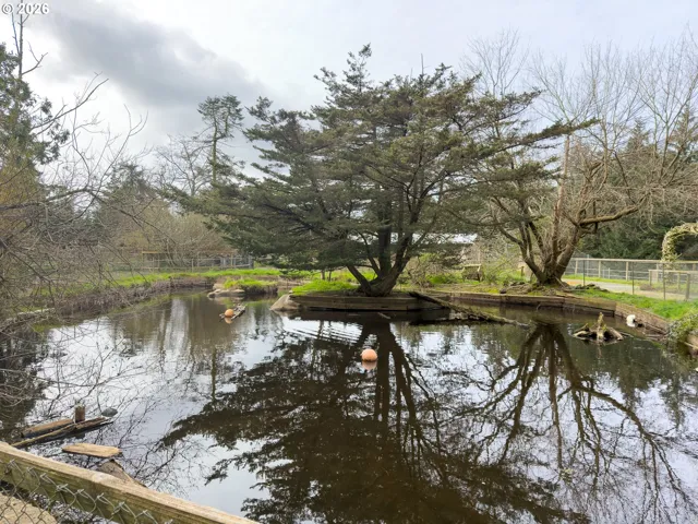Pond