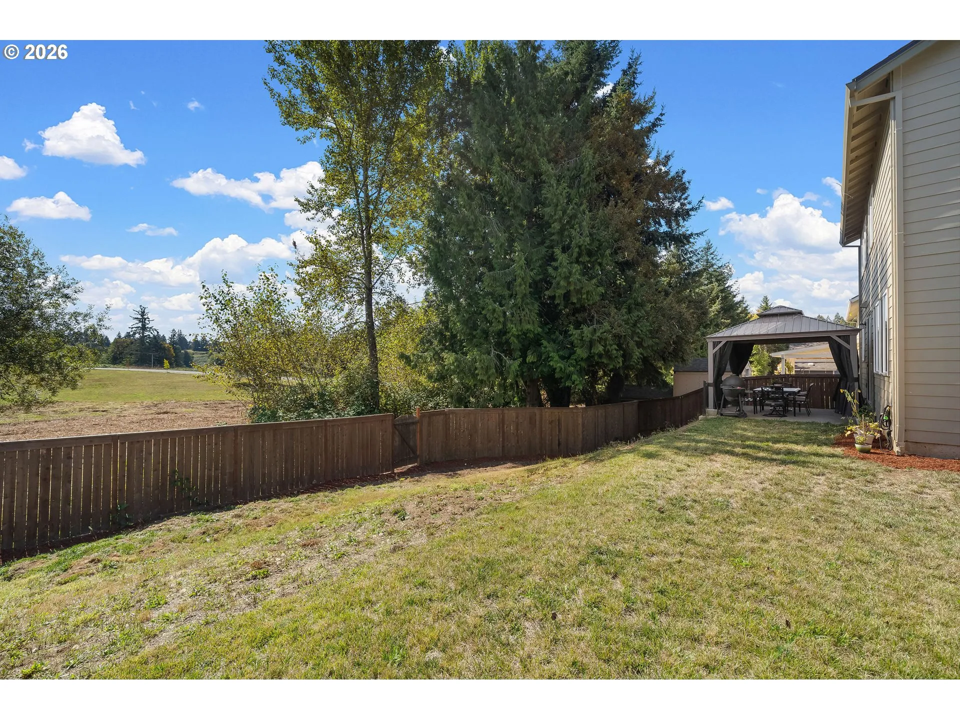 Backyard-View From