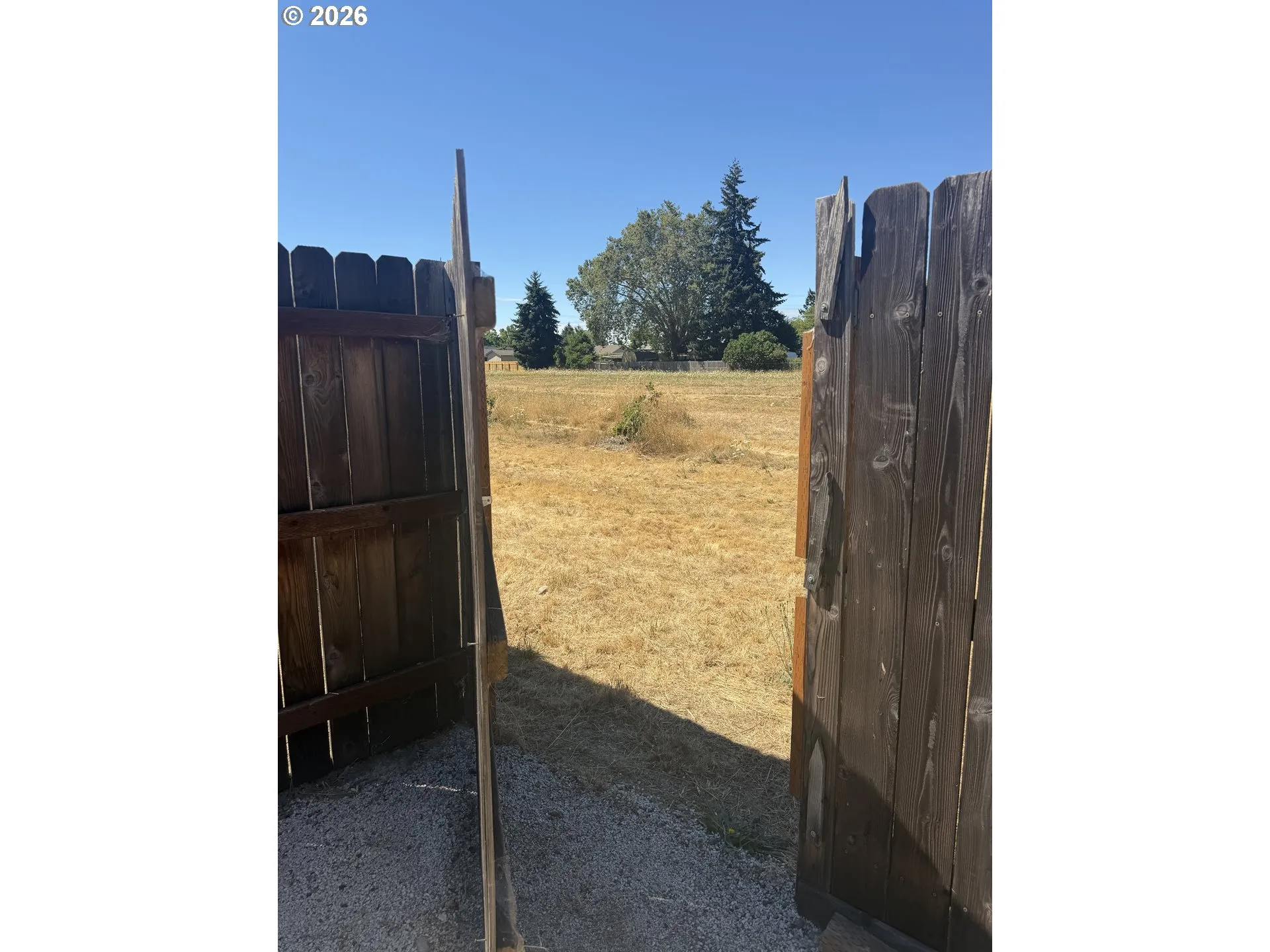 Backyard-View From