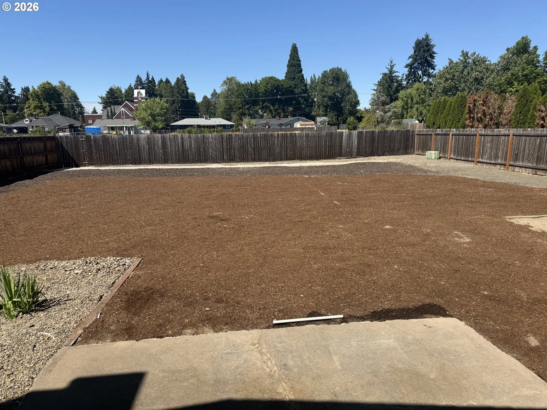 Backyard-View From