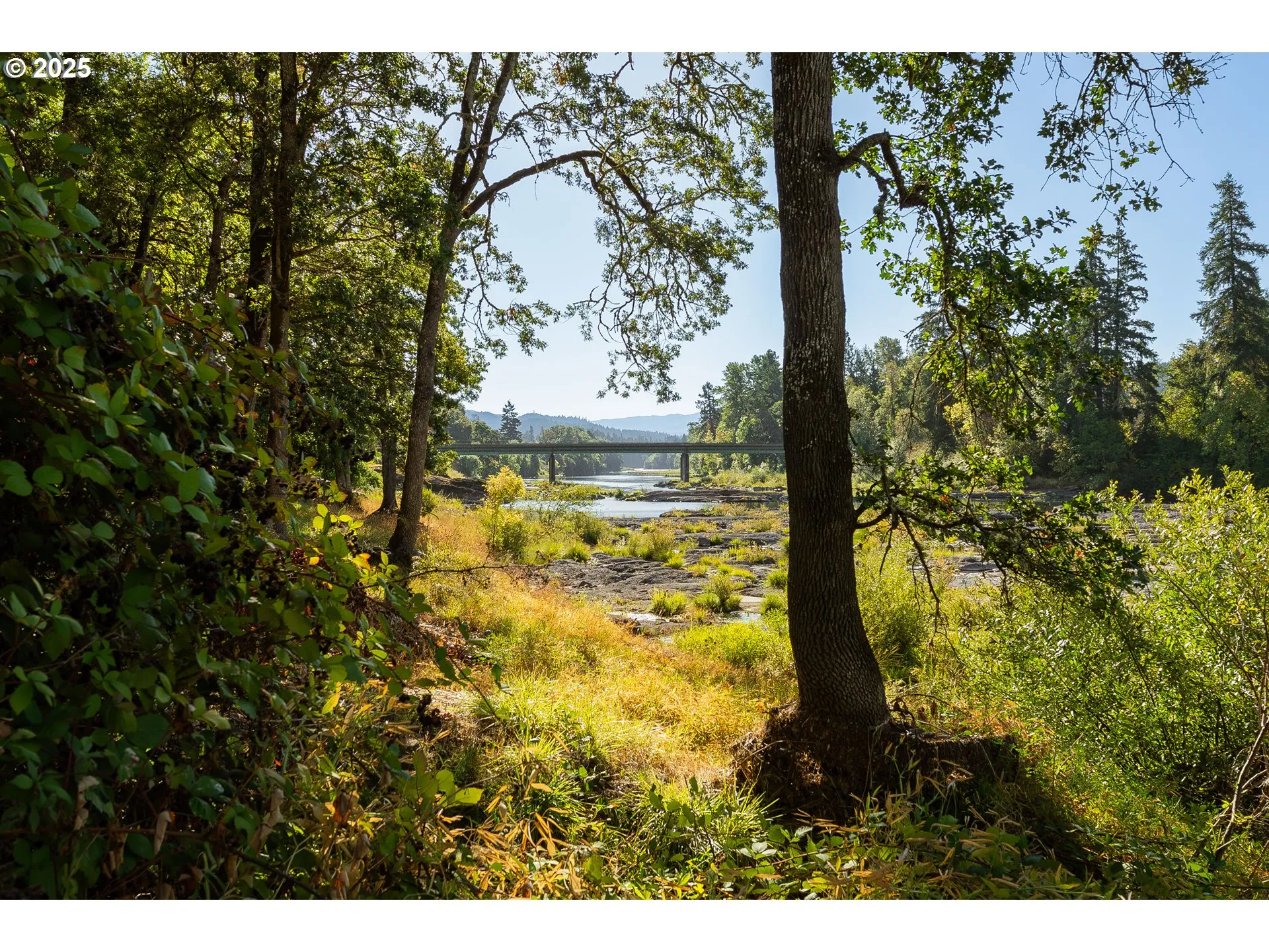 Backyard-View From