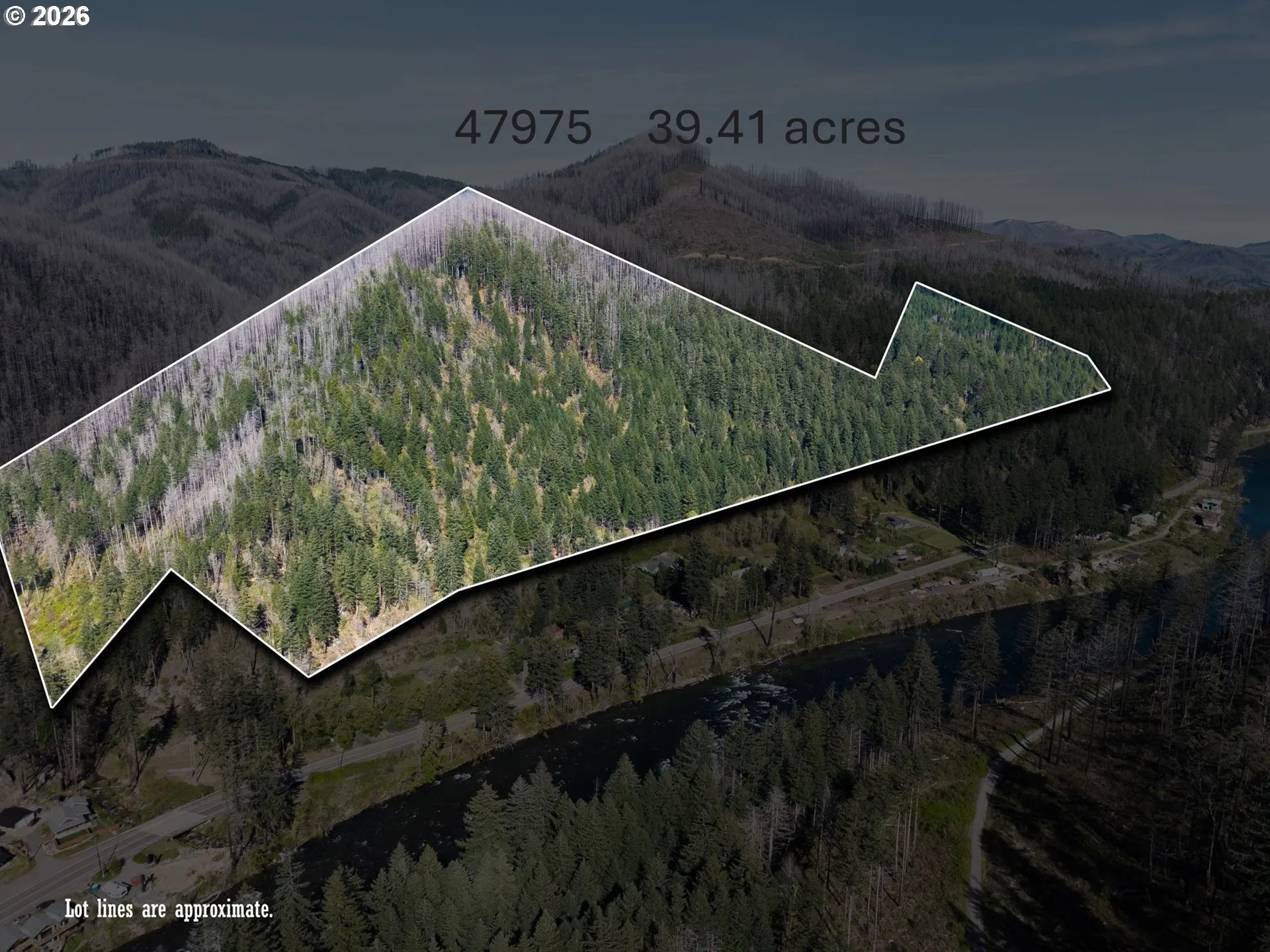 View-Wooded / Acreage