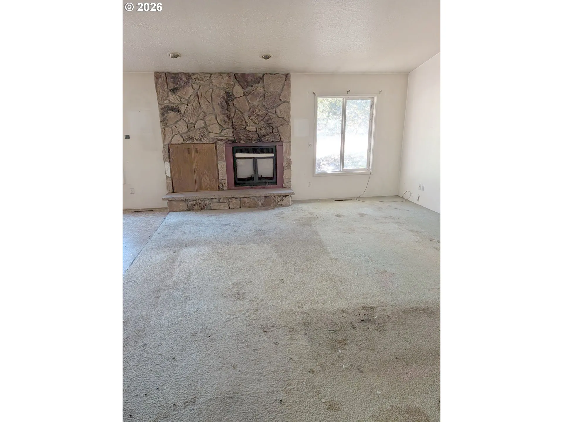 Fireplace Insert
