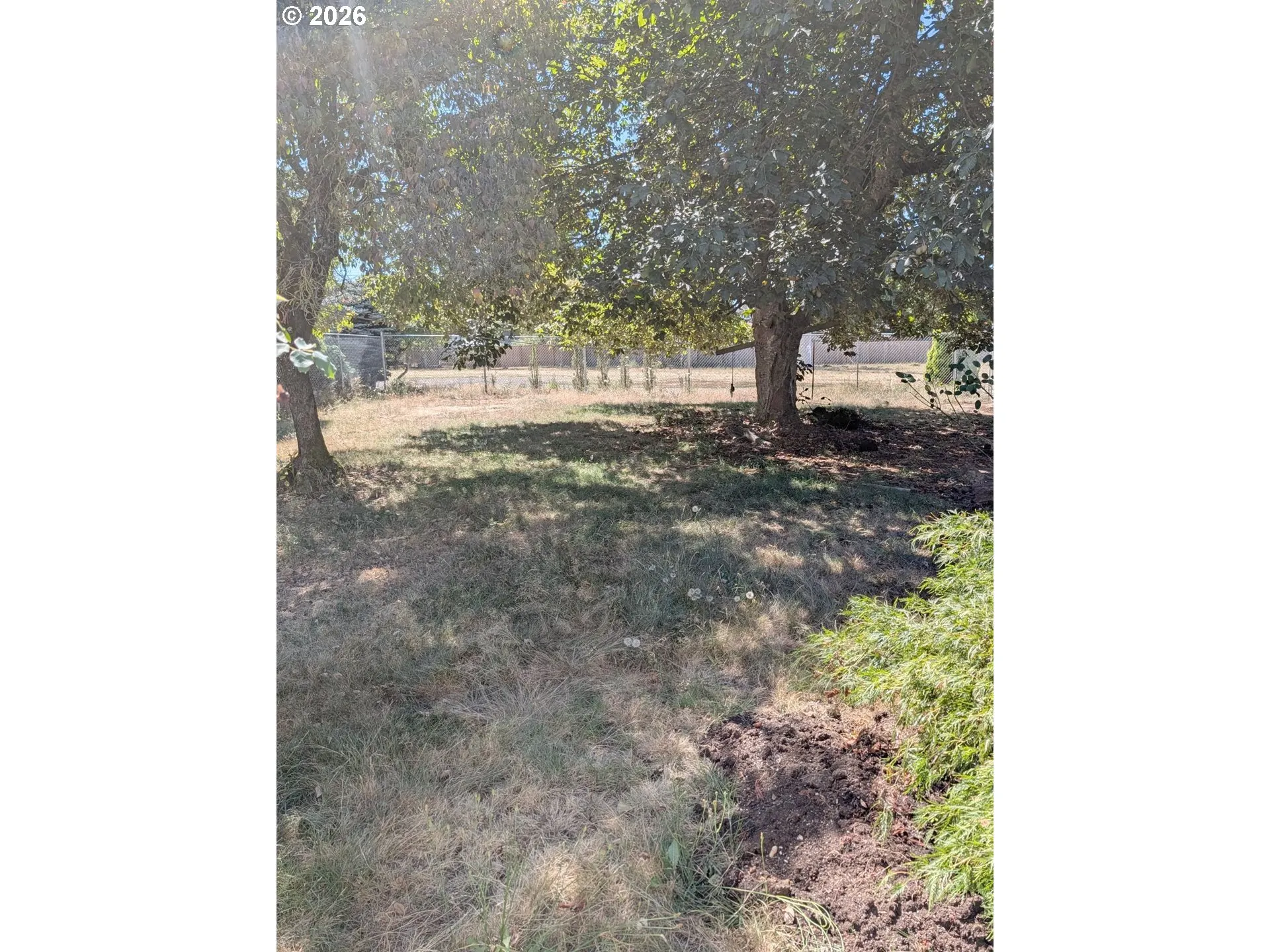 Backyard-Fenced