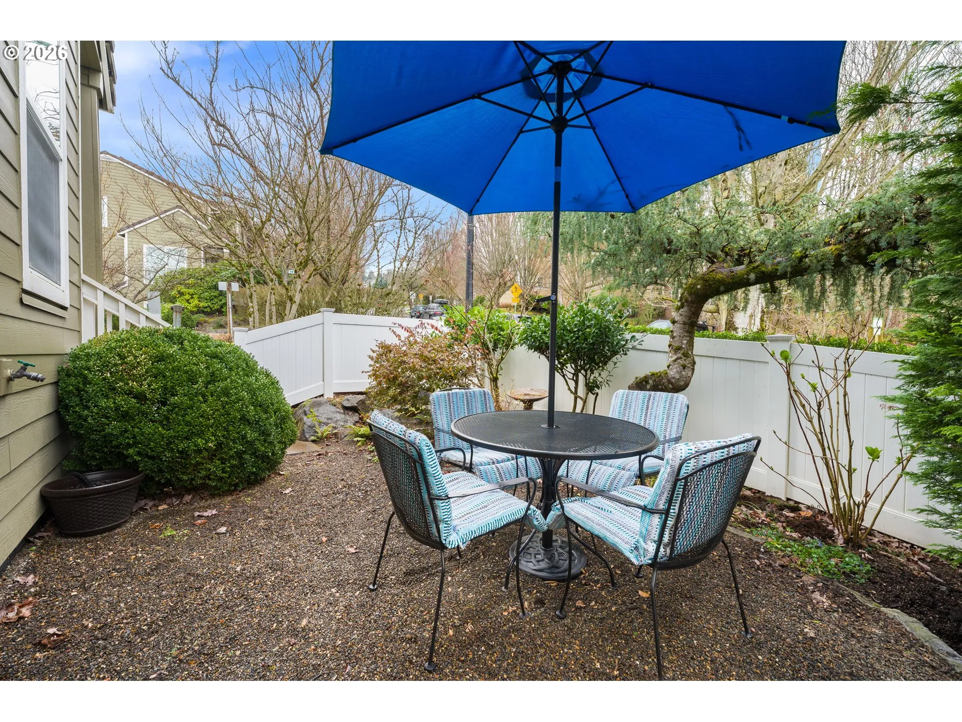 Backyard-Fenced