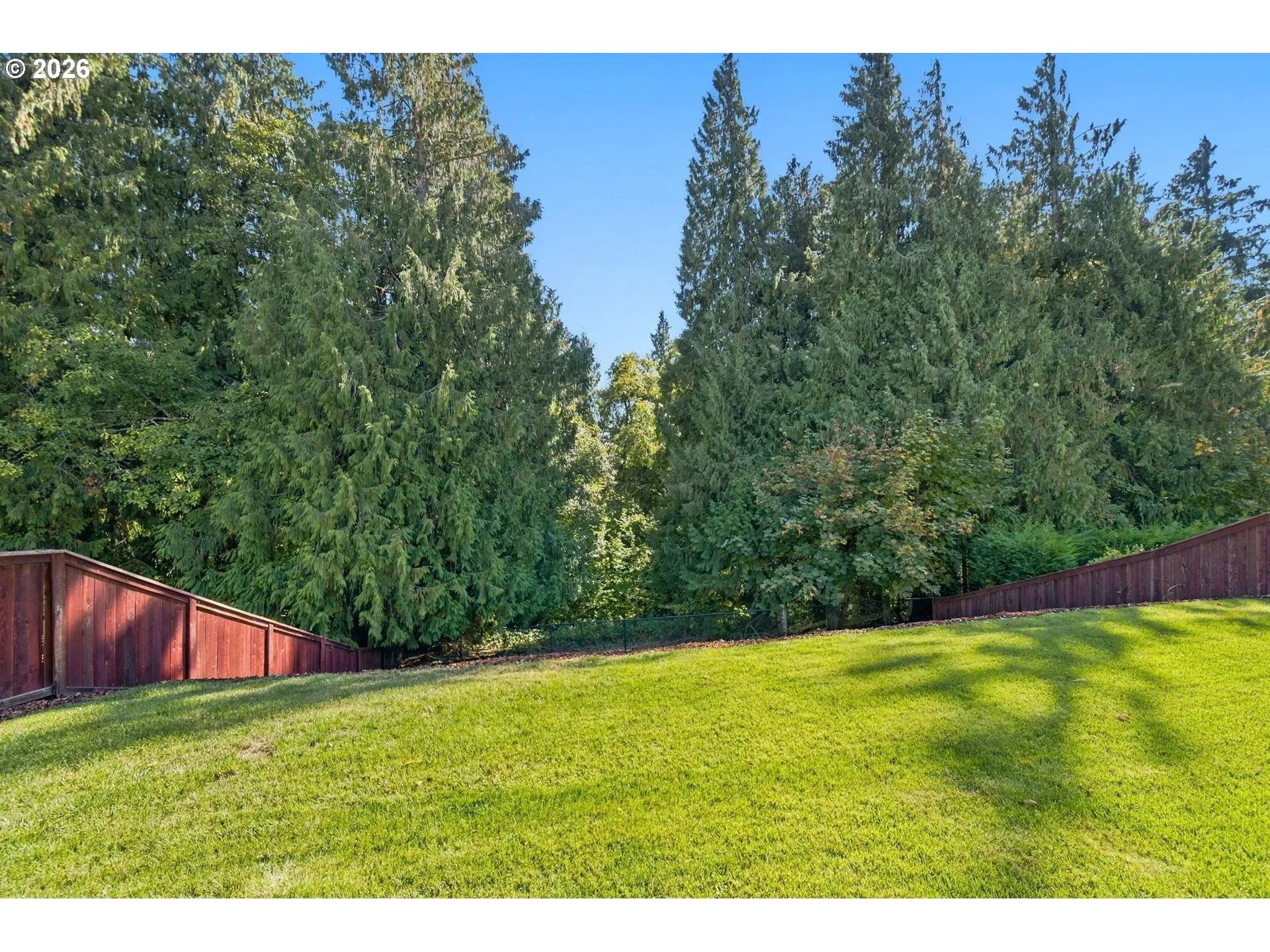 Backyard-Fenced