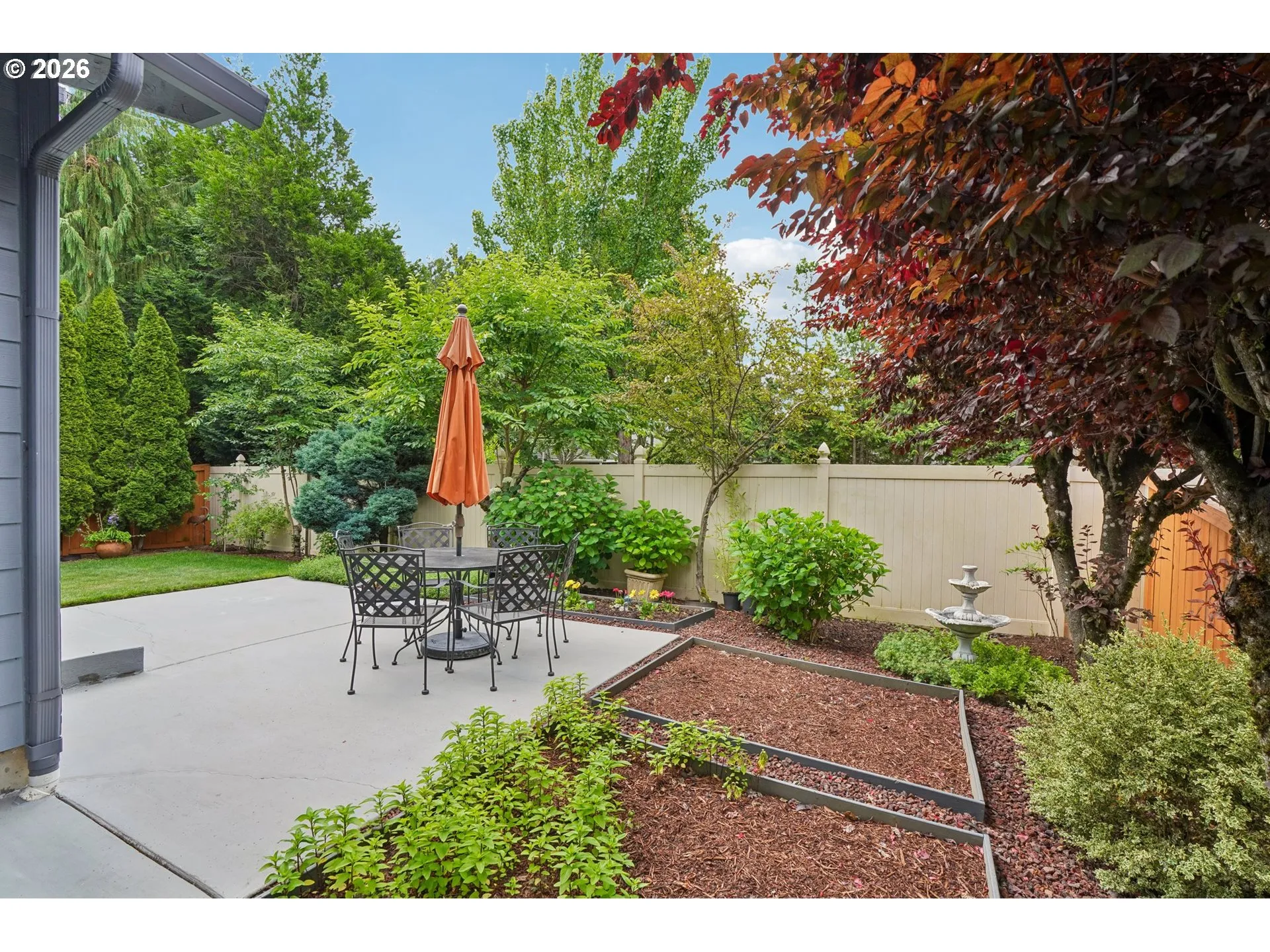 Backyard-Fenced