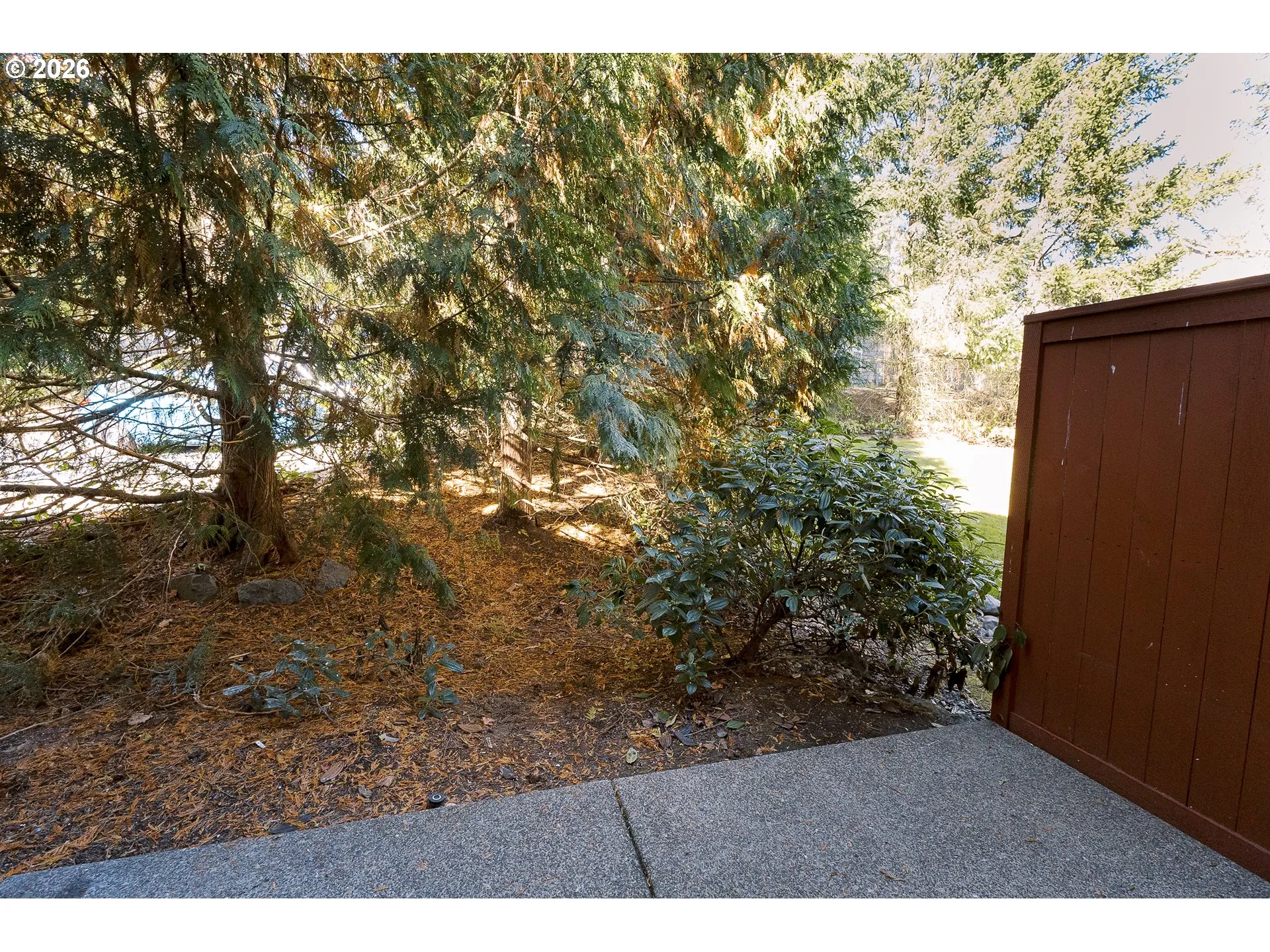 Patio-Backyard