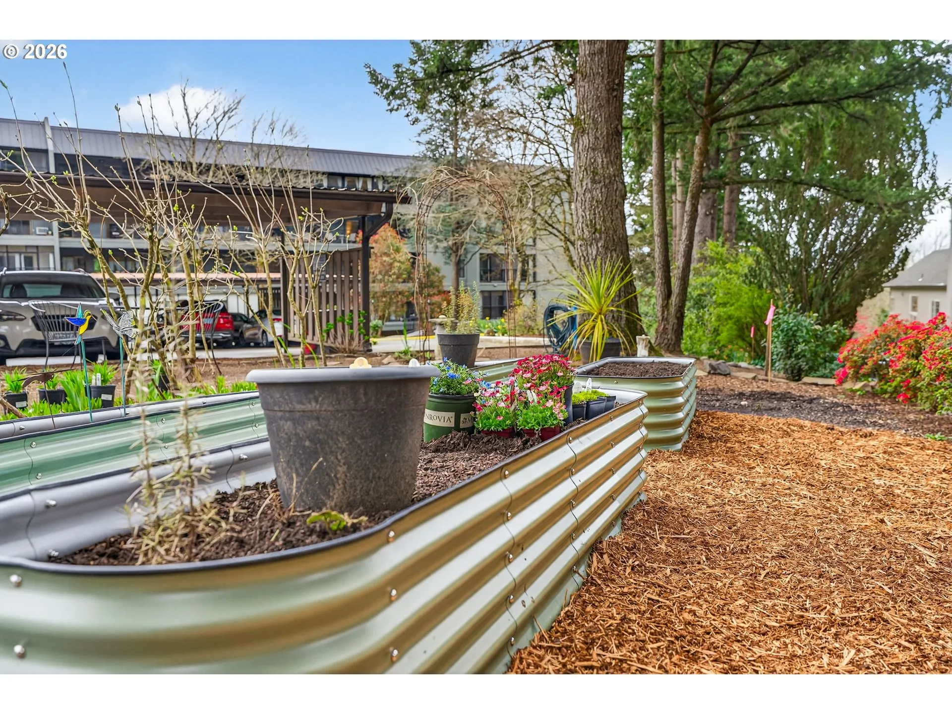 Community Garden