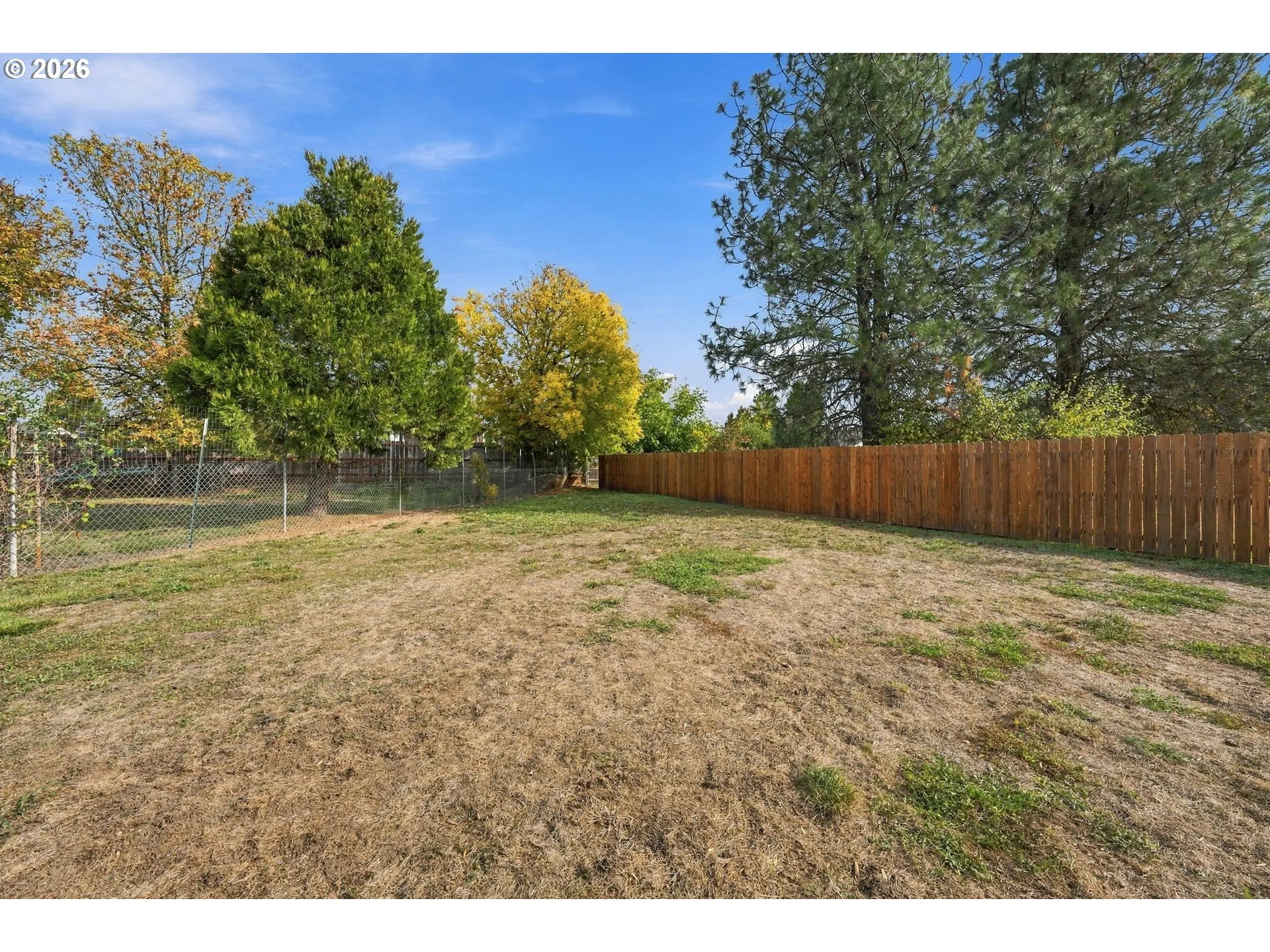 Backyard-Fenced