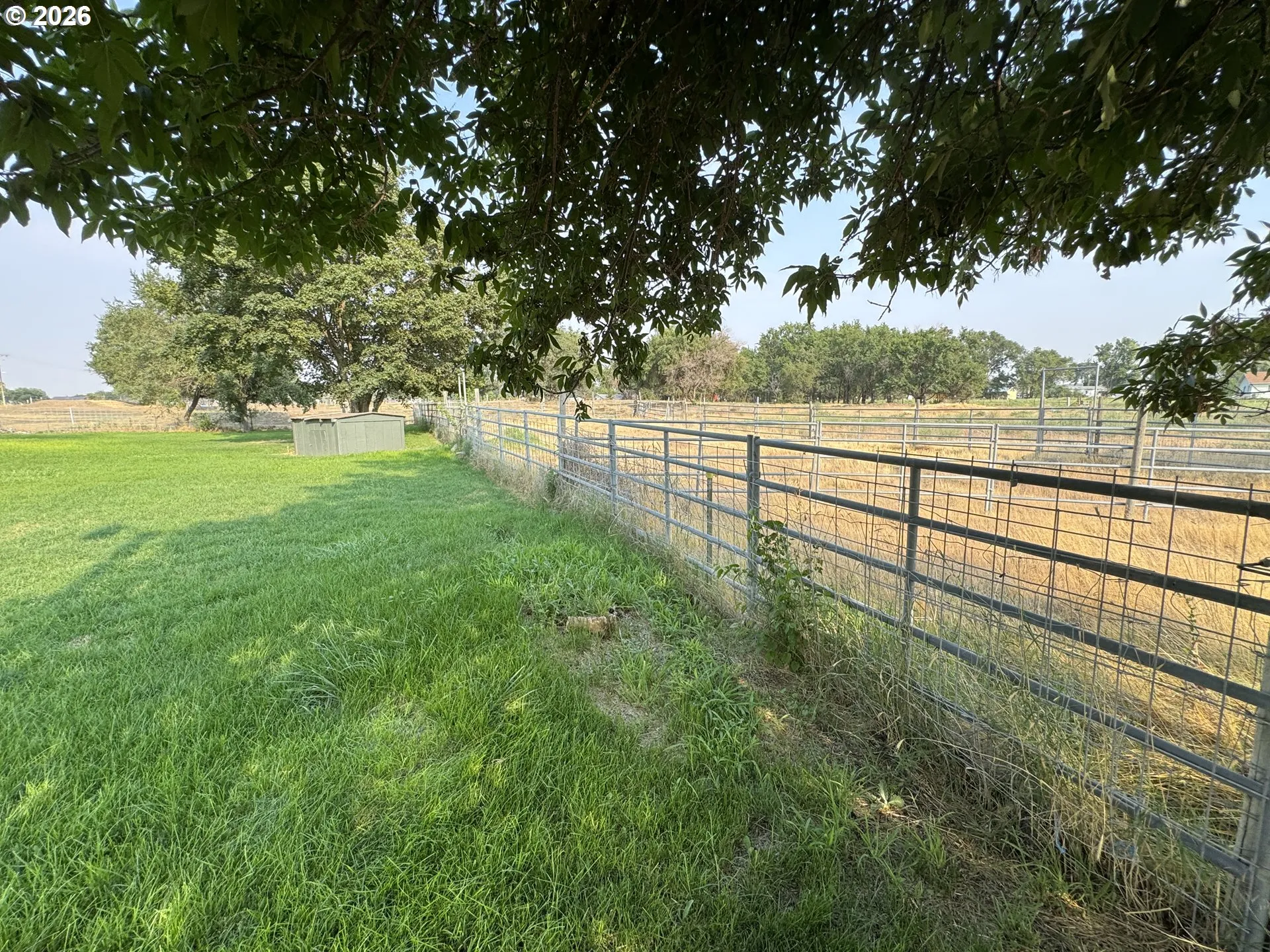 Corral