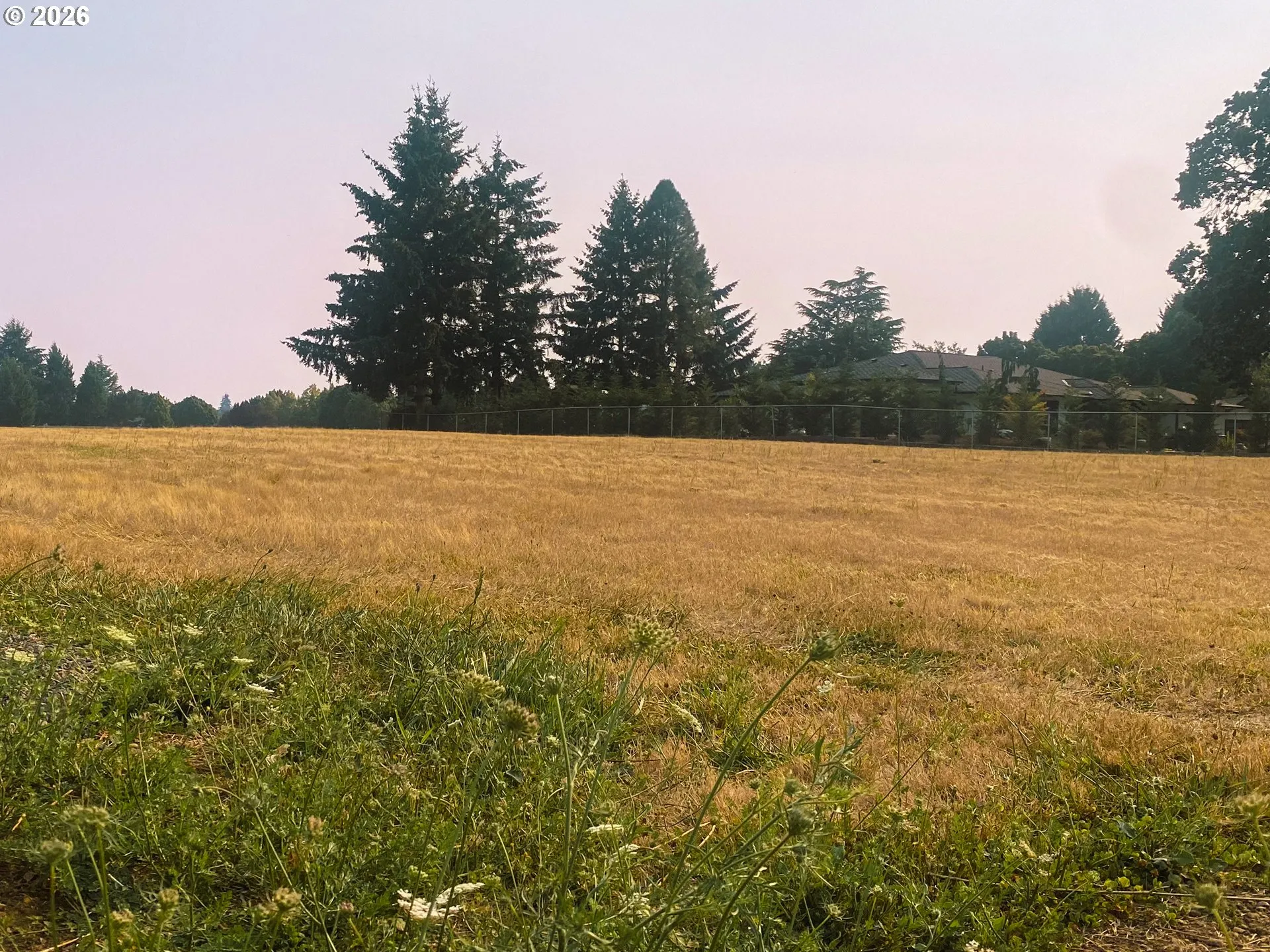 Community Park