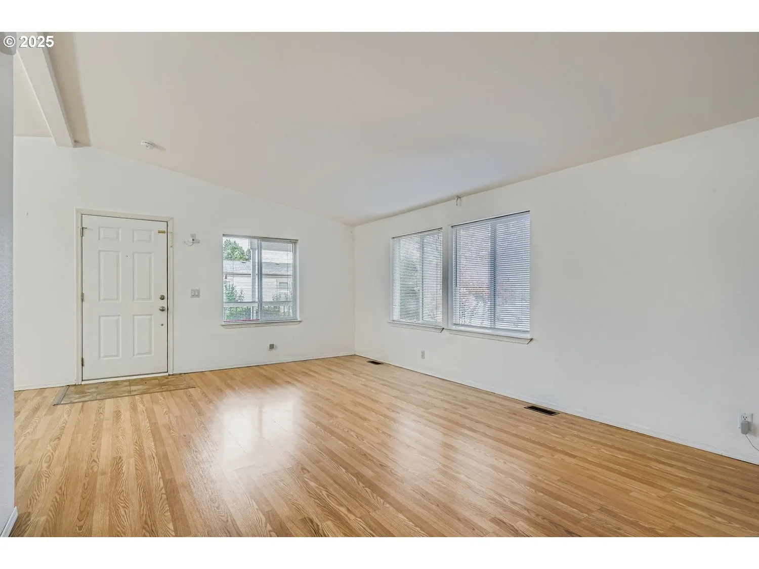 Living Room/Entrance