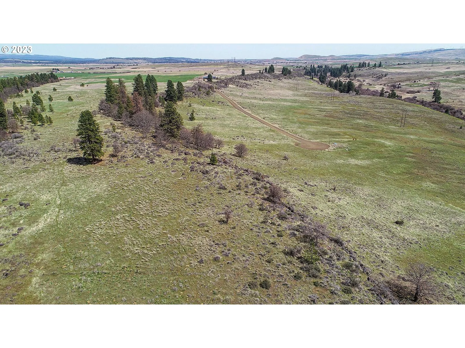 Drain Field Site
