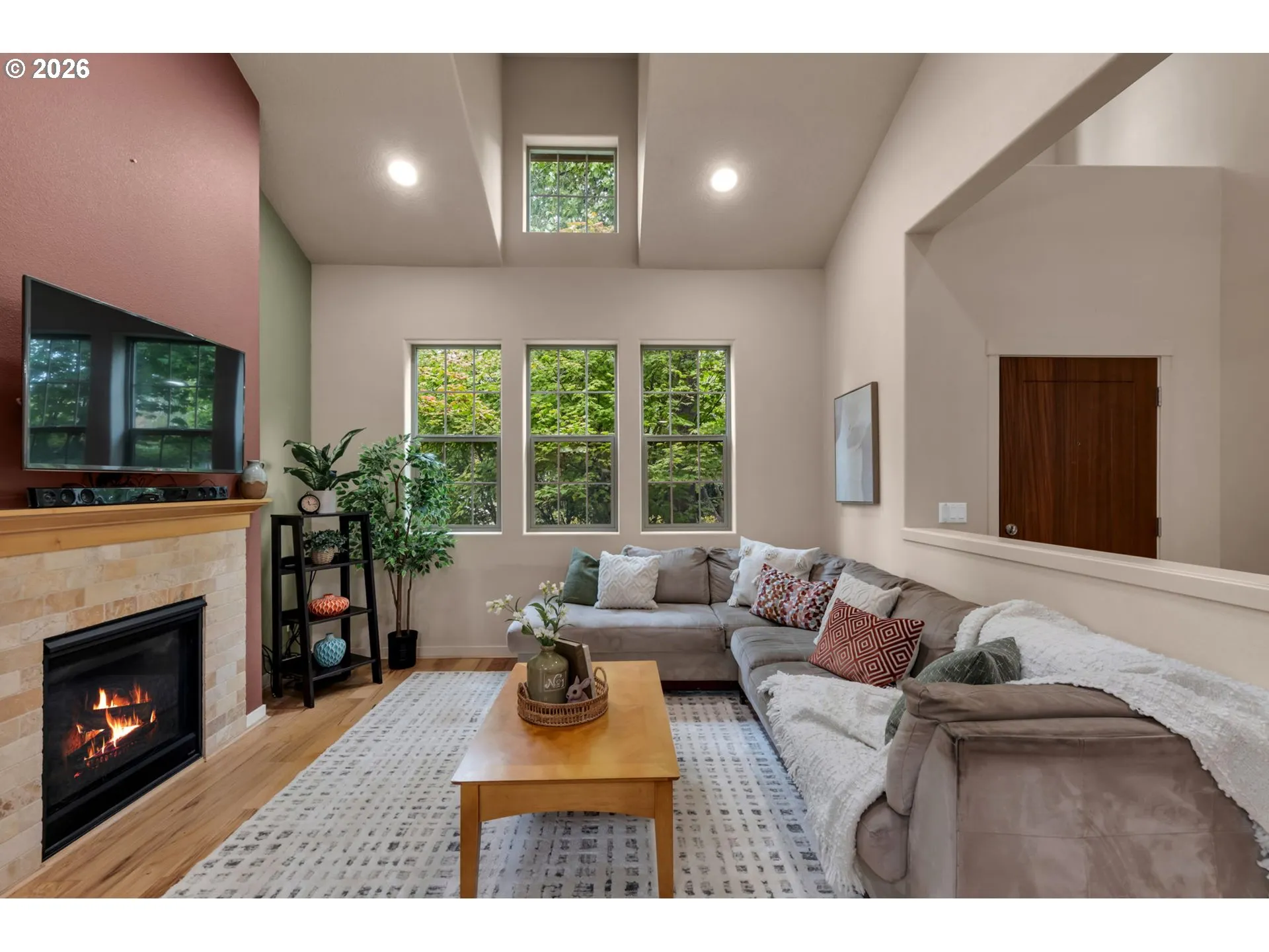 Living Room/Entrance