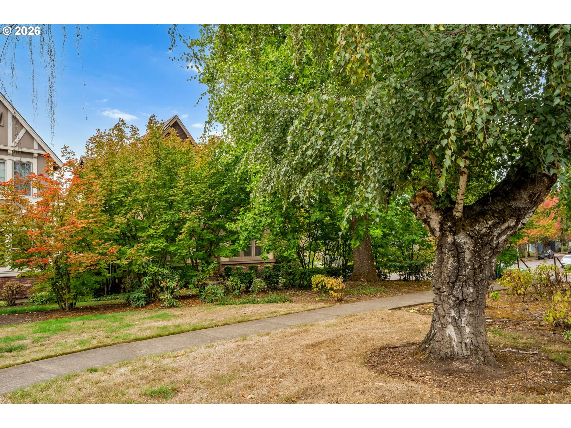 Neighborhood Park
