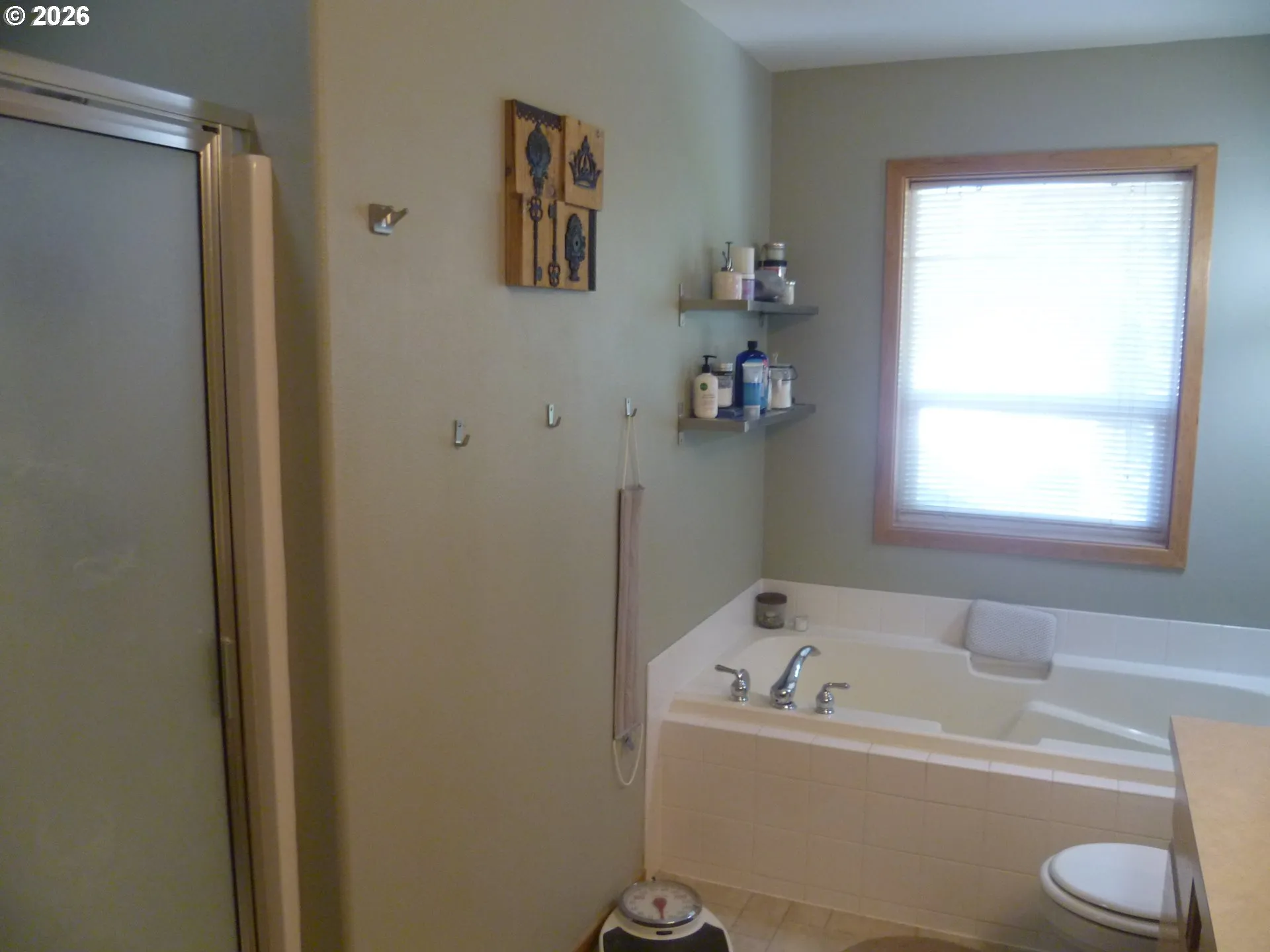 Owner's Suite Bathroom-Walk in Shower