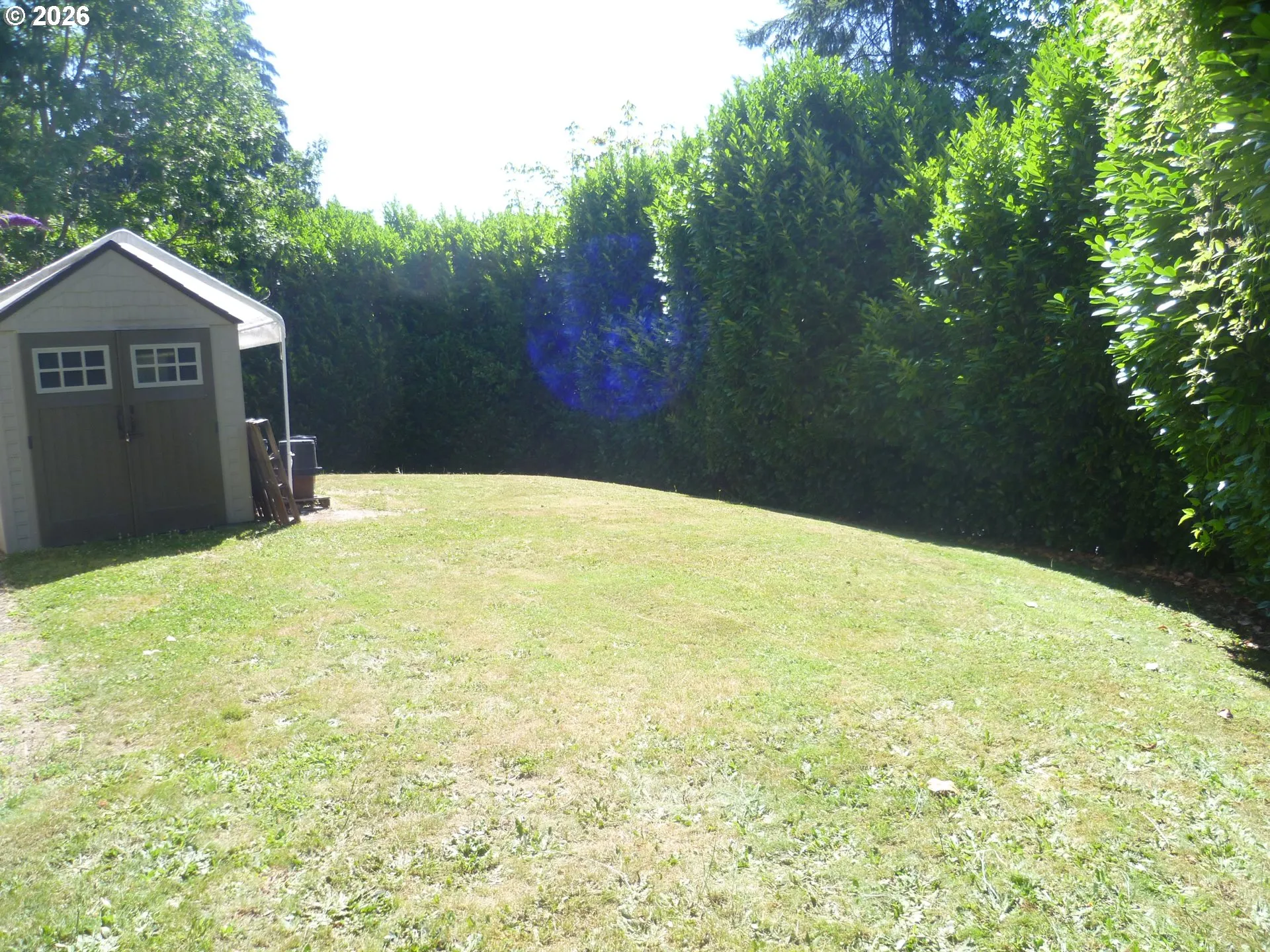 Front Yard