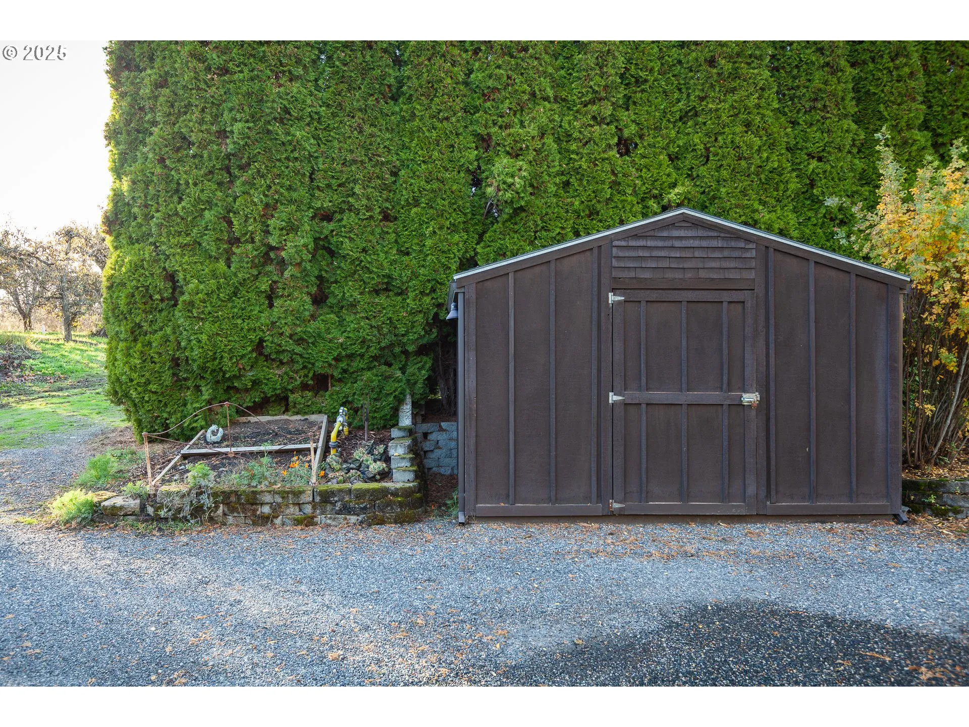 Shed
