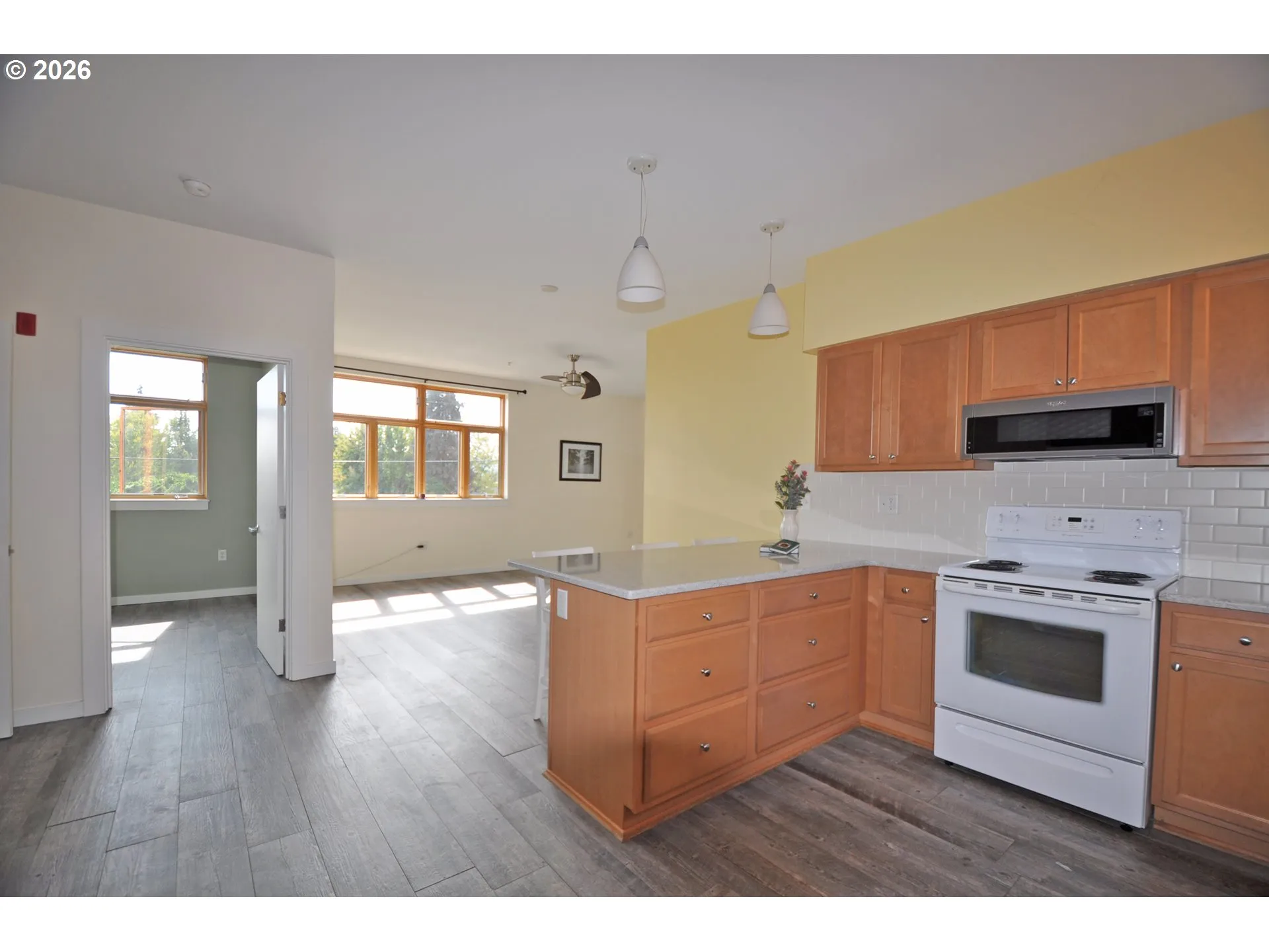 Kitchen/Living Room-Ceiling Fan