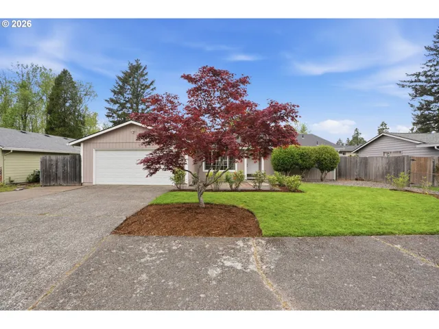 Front Yard