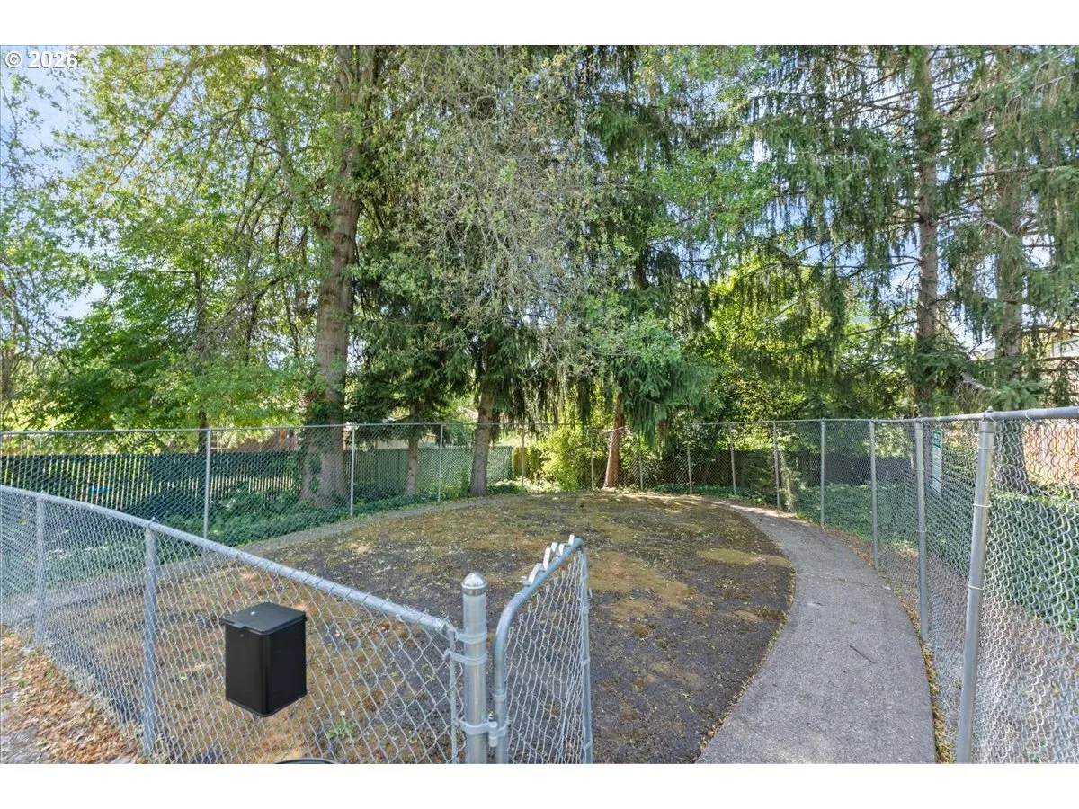 Dog Run