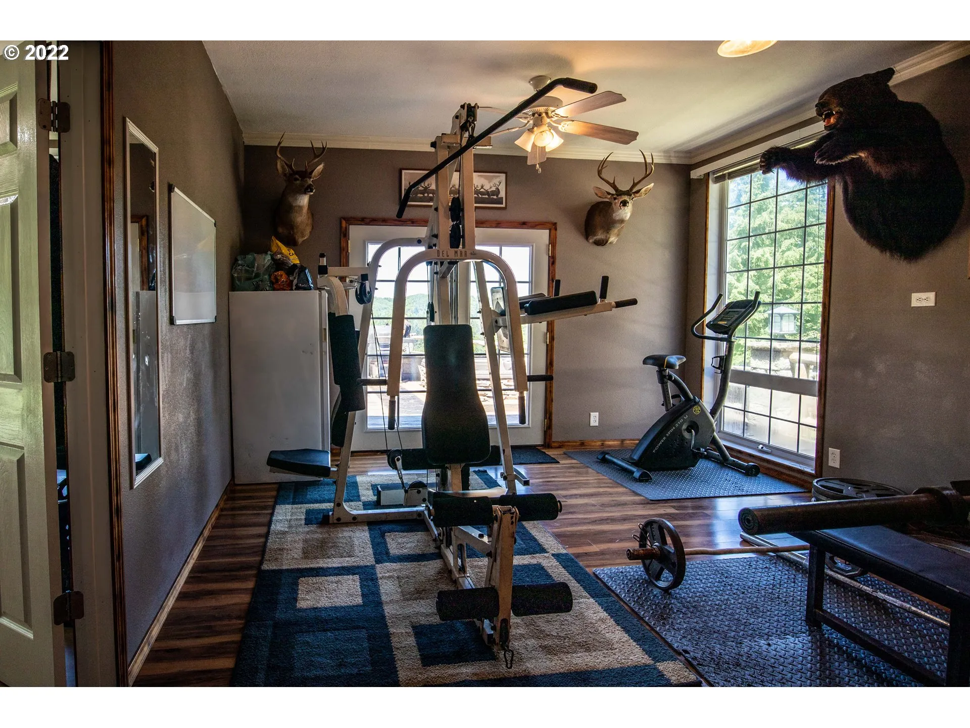 Family Room-Ceiling Fan