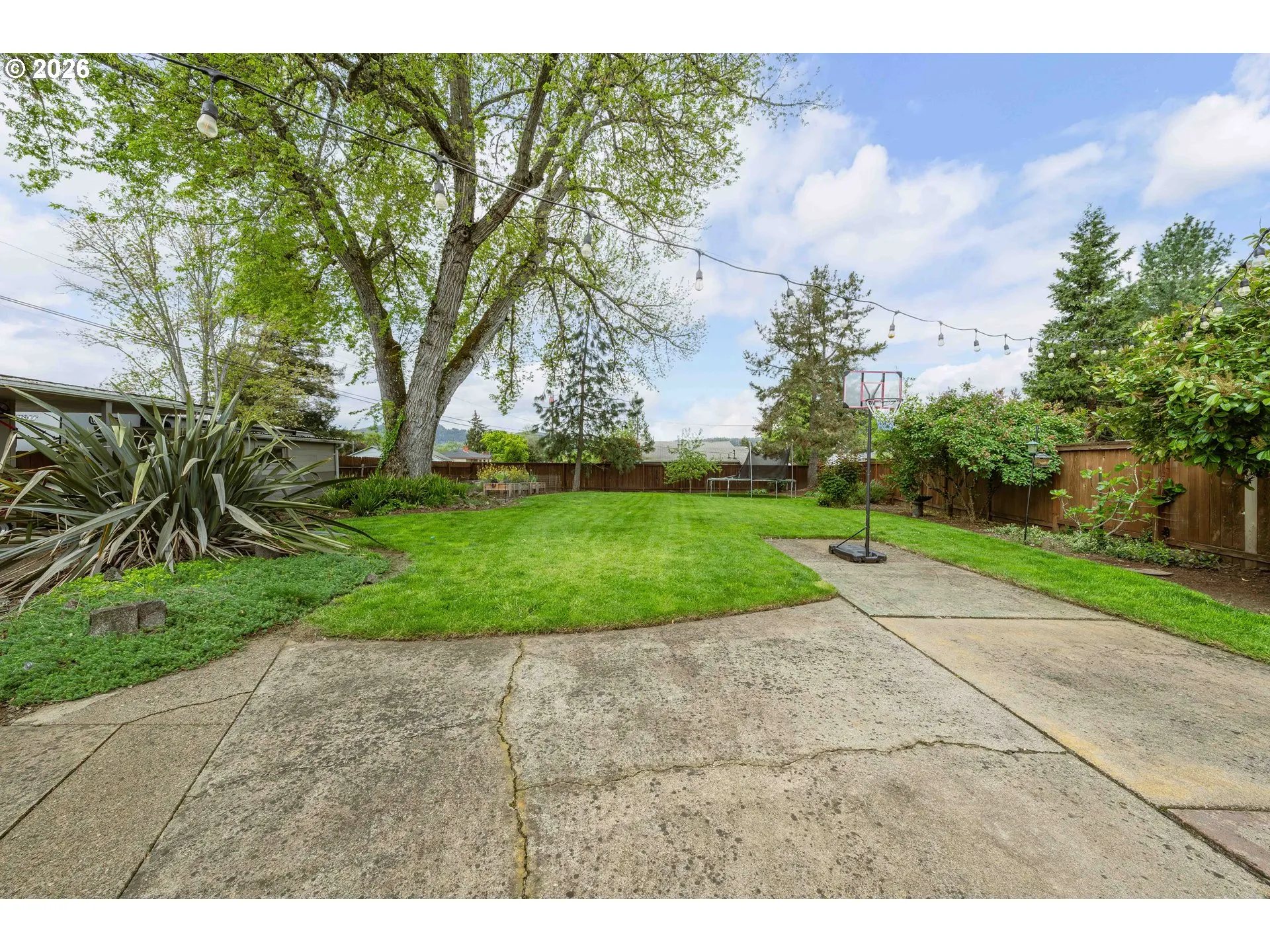 Backyard-Fenced