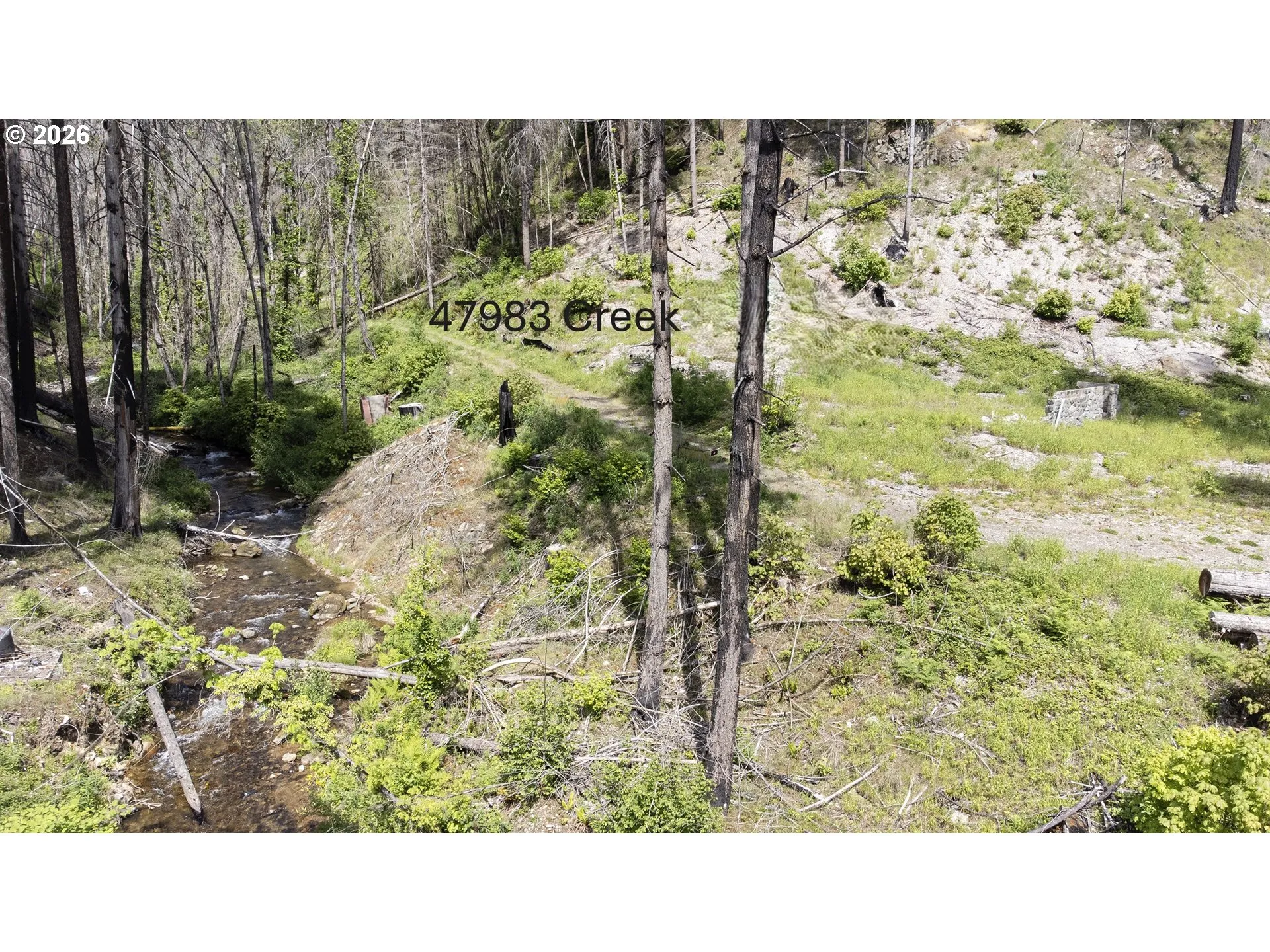 Creek-Year Round