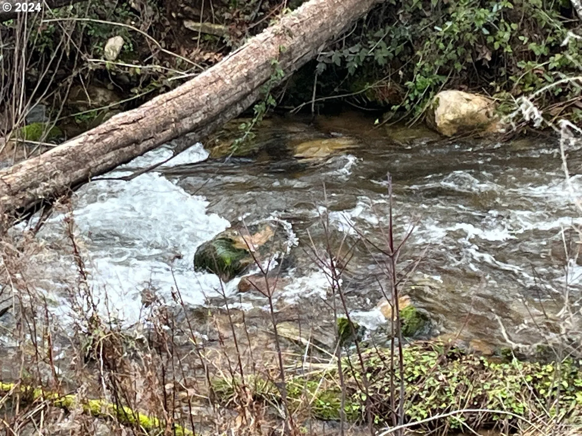 Creek-Year Round