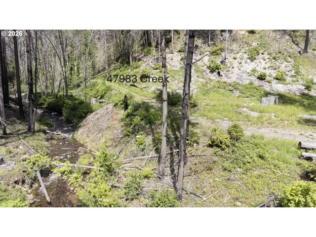 Creek-Year Round